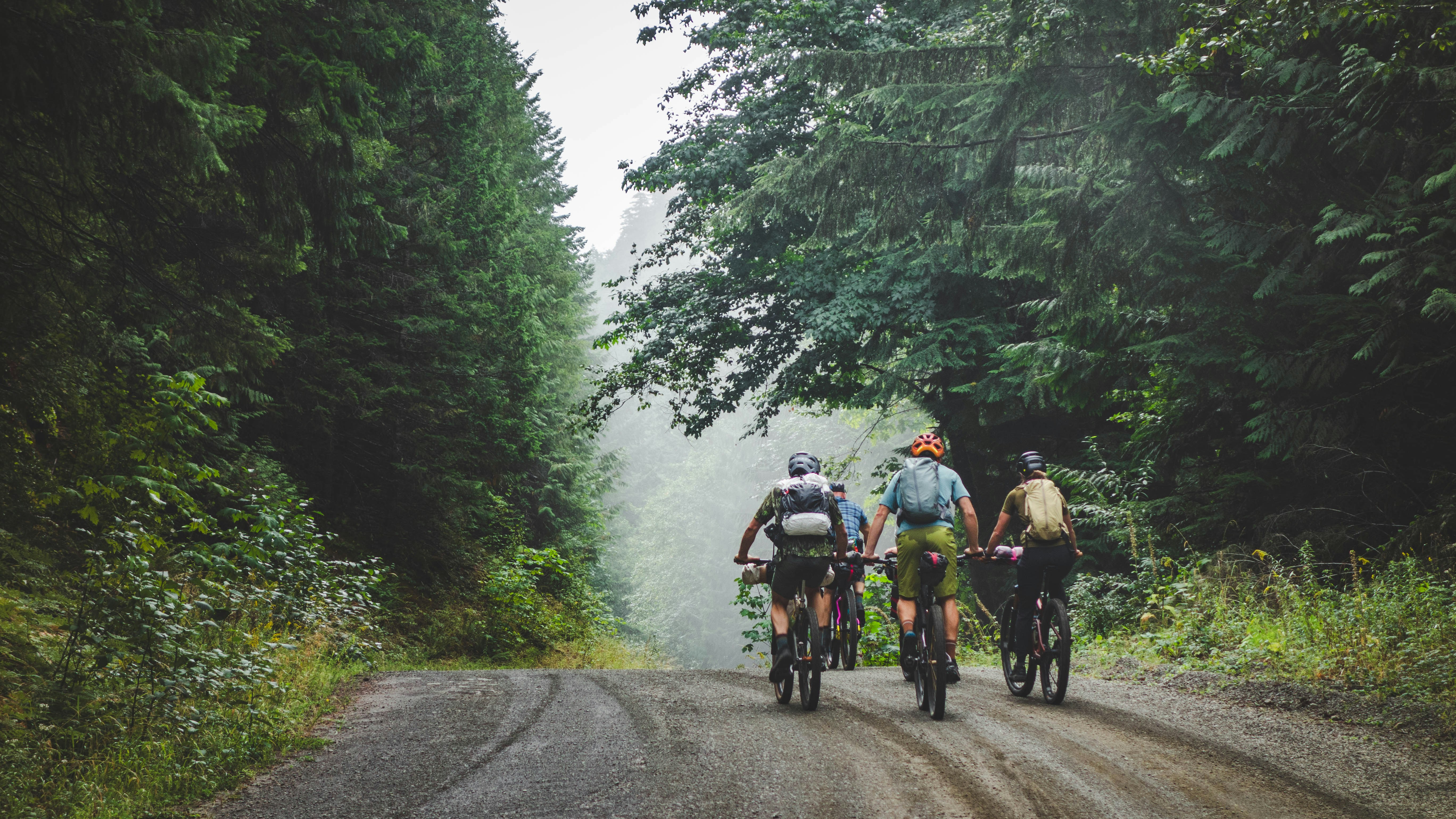 Three cyclists ride down a dirt road through a forest.