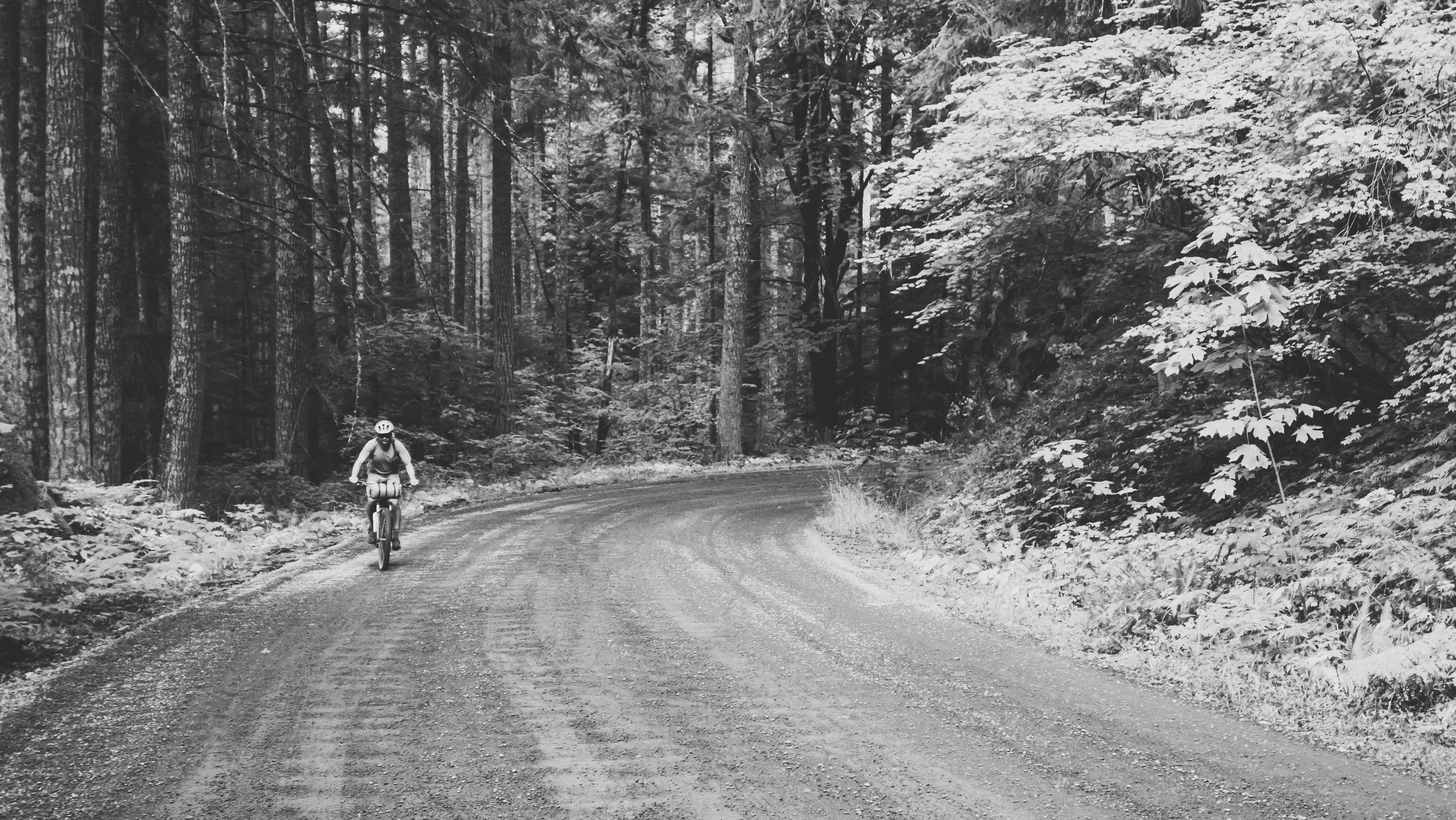Cyclist on a winding dirt road through forest
