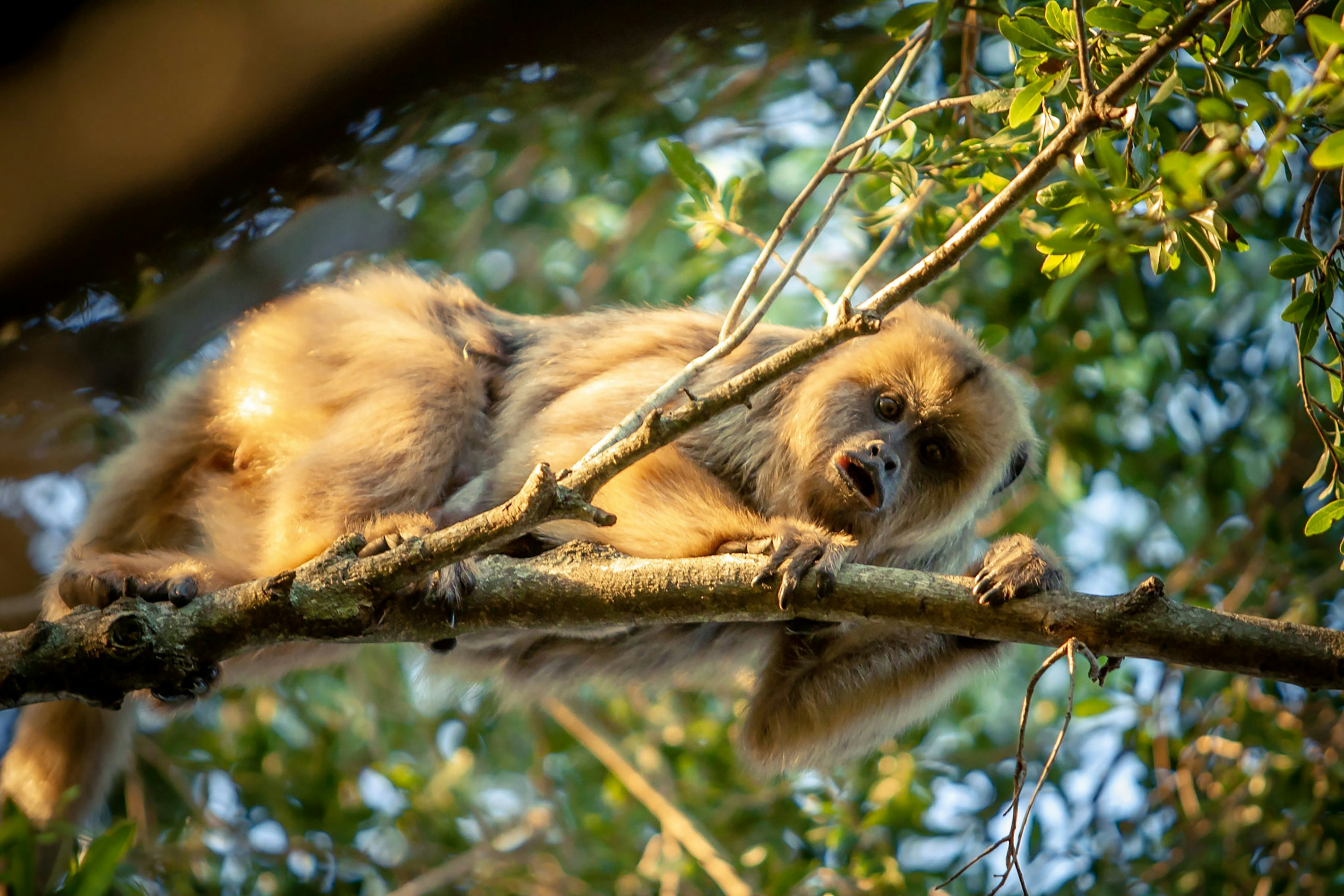 Photo by danielbastosedits