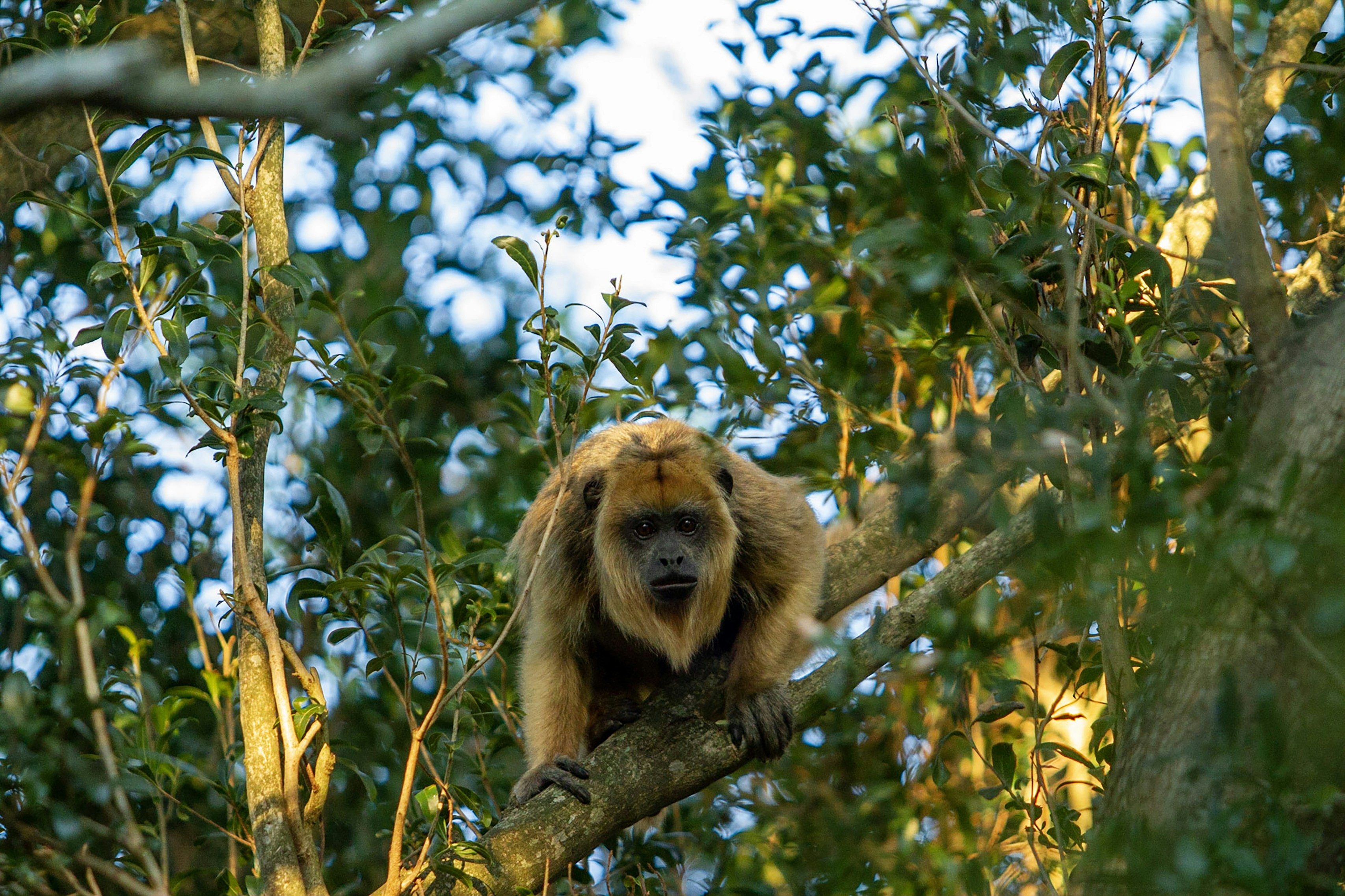 Photo by danielbastosedits