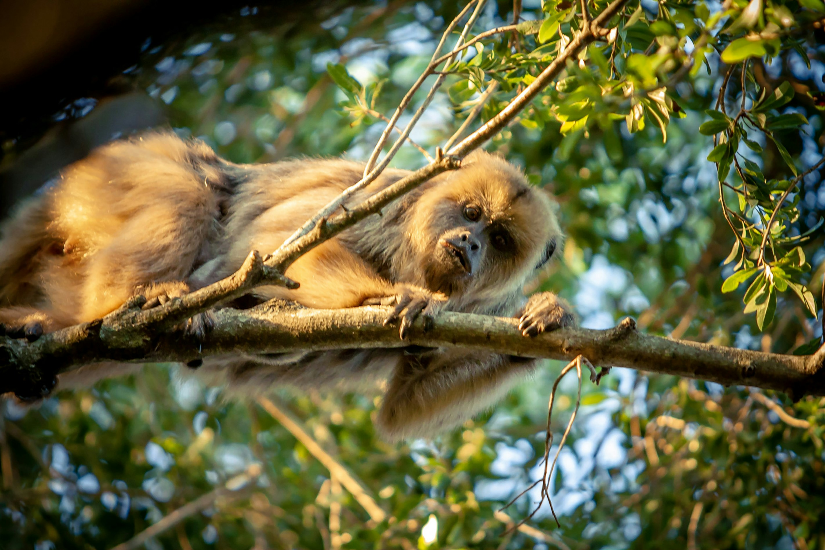 Photo by danielbastosedits