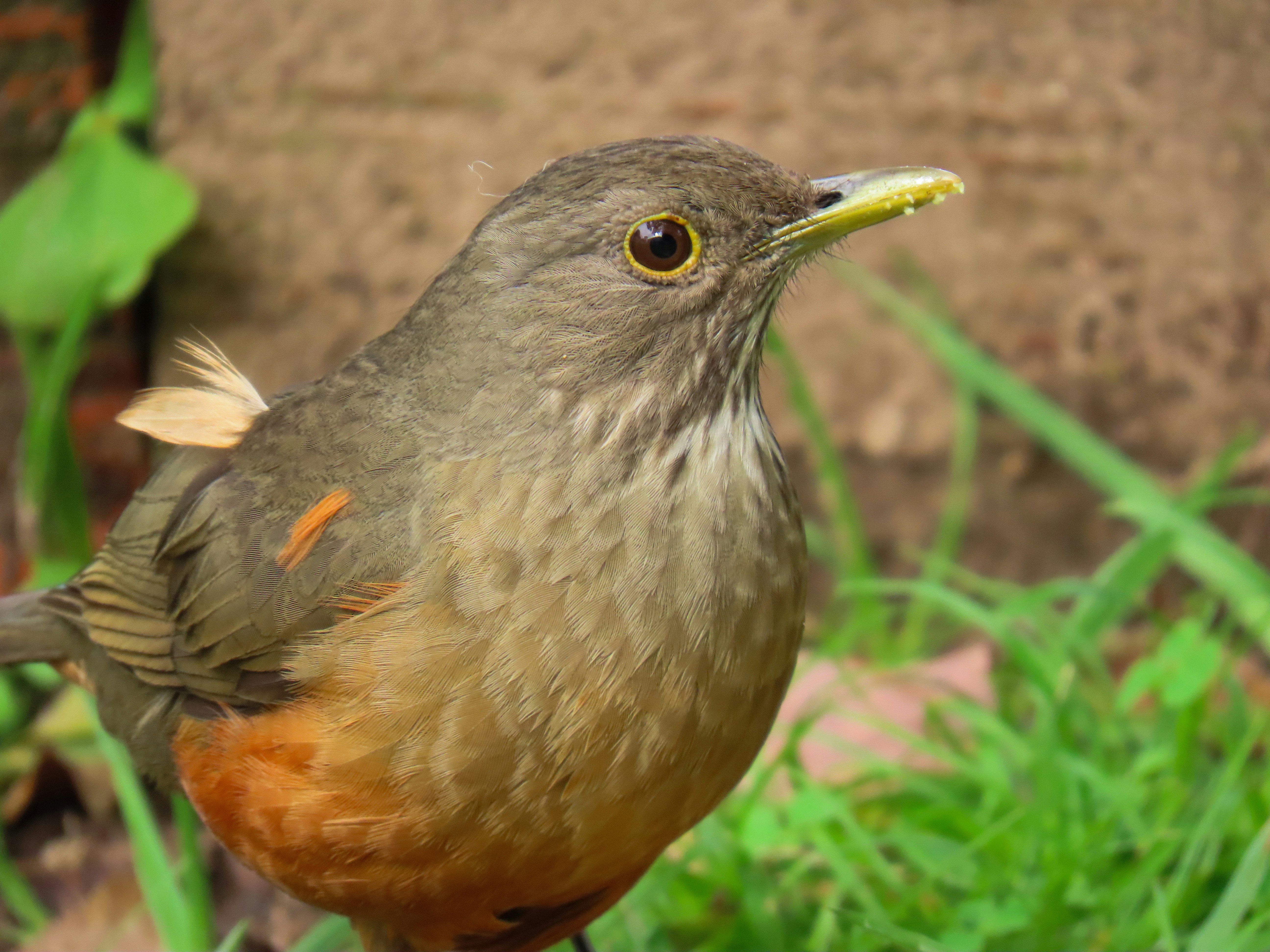 Photo by patricianicoloso