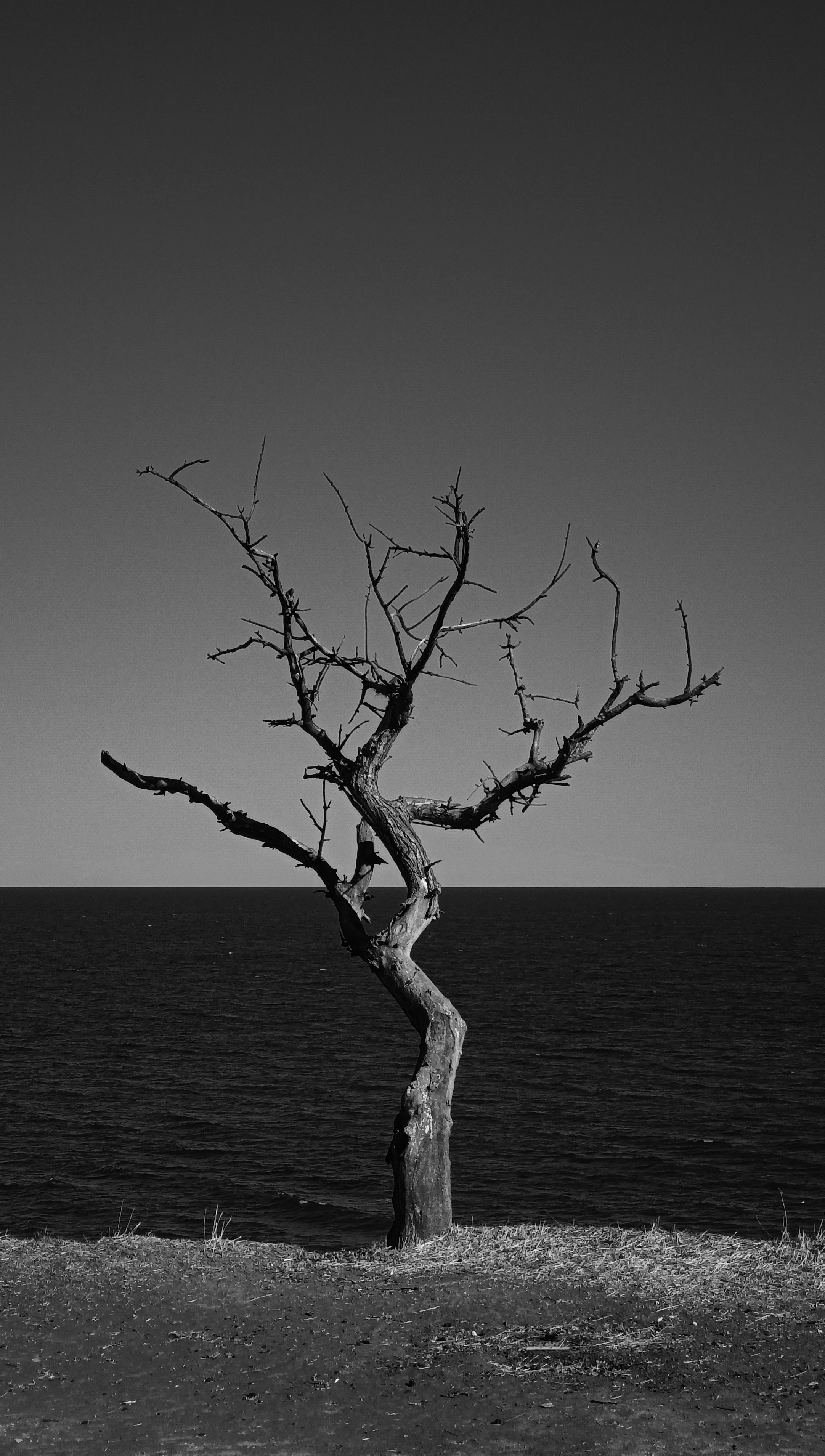 Photo by barbara_light