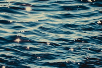 Rippling blue water with sparkling highlights