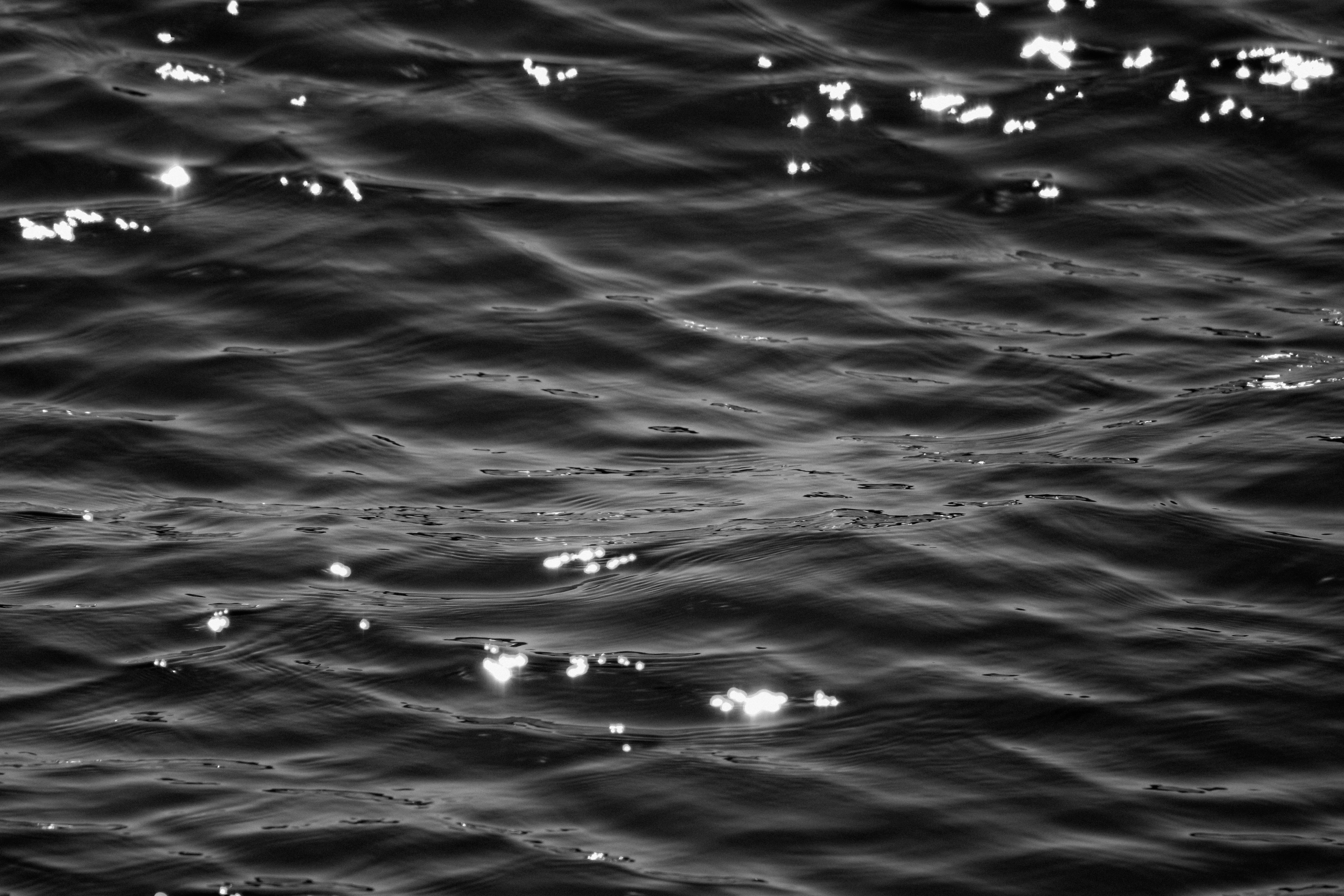 Photo by linusbelanger