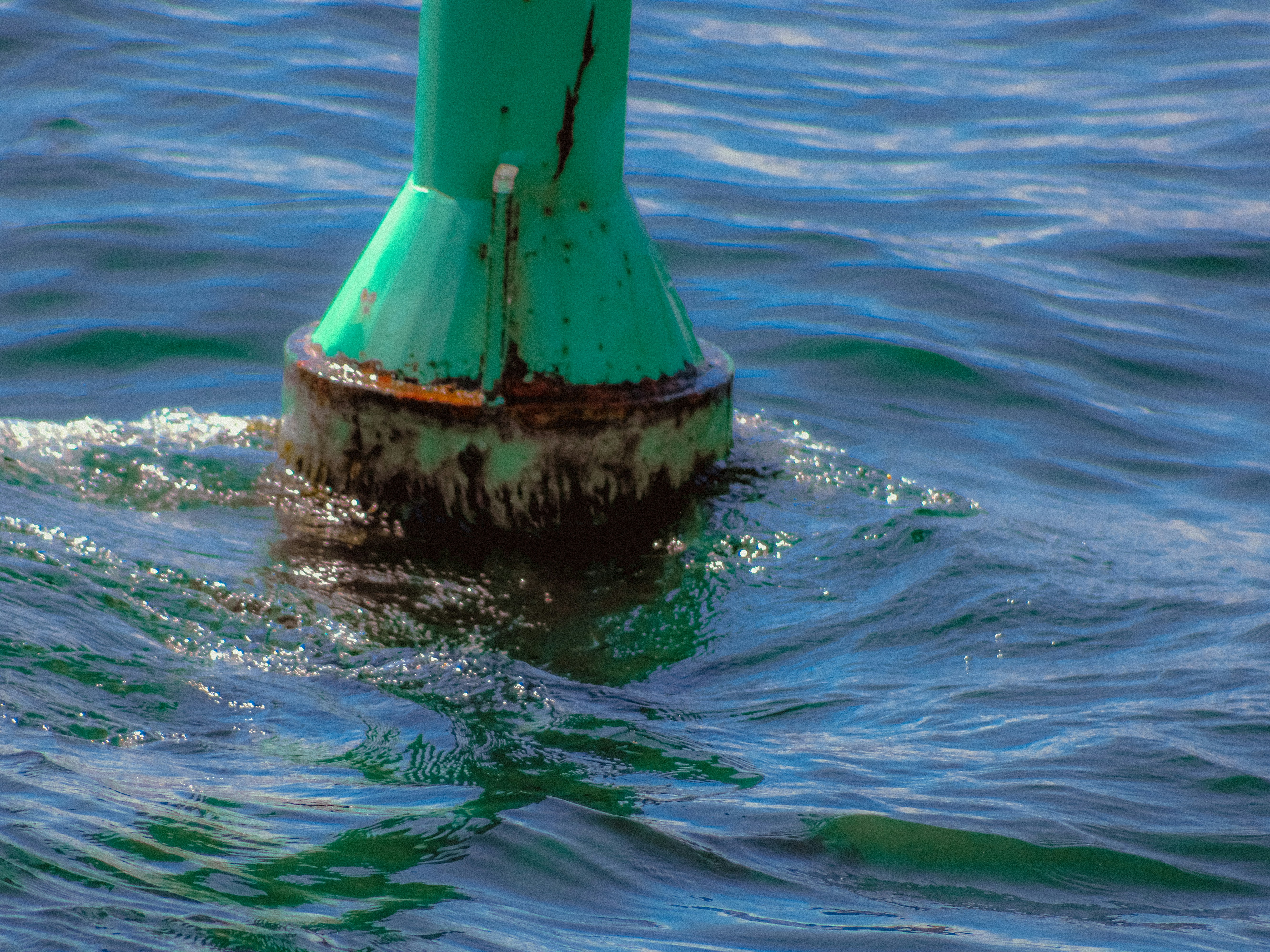 Photo by linusbelanger