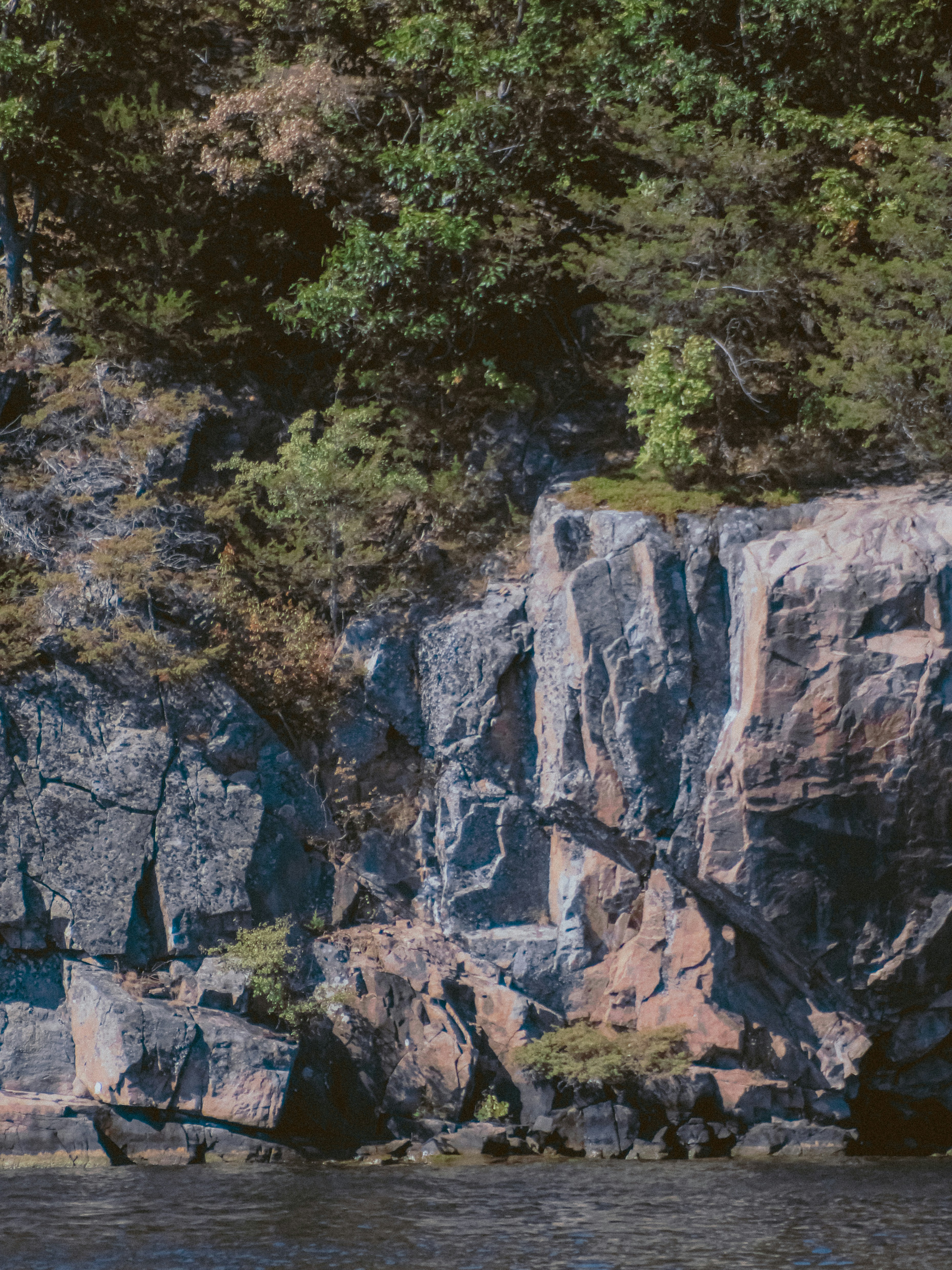 Photo by linusbelanger