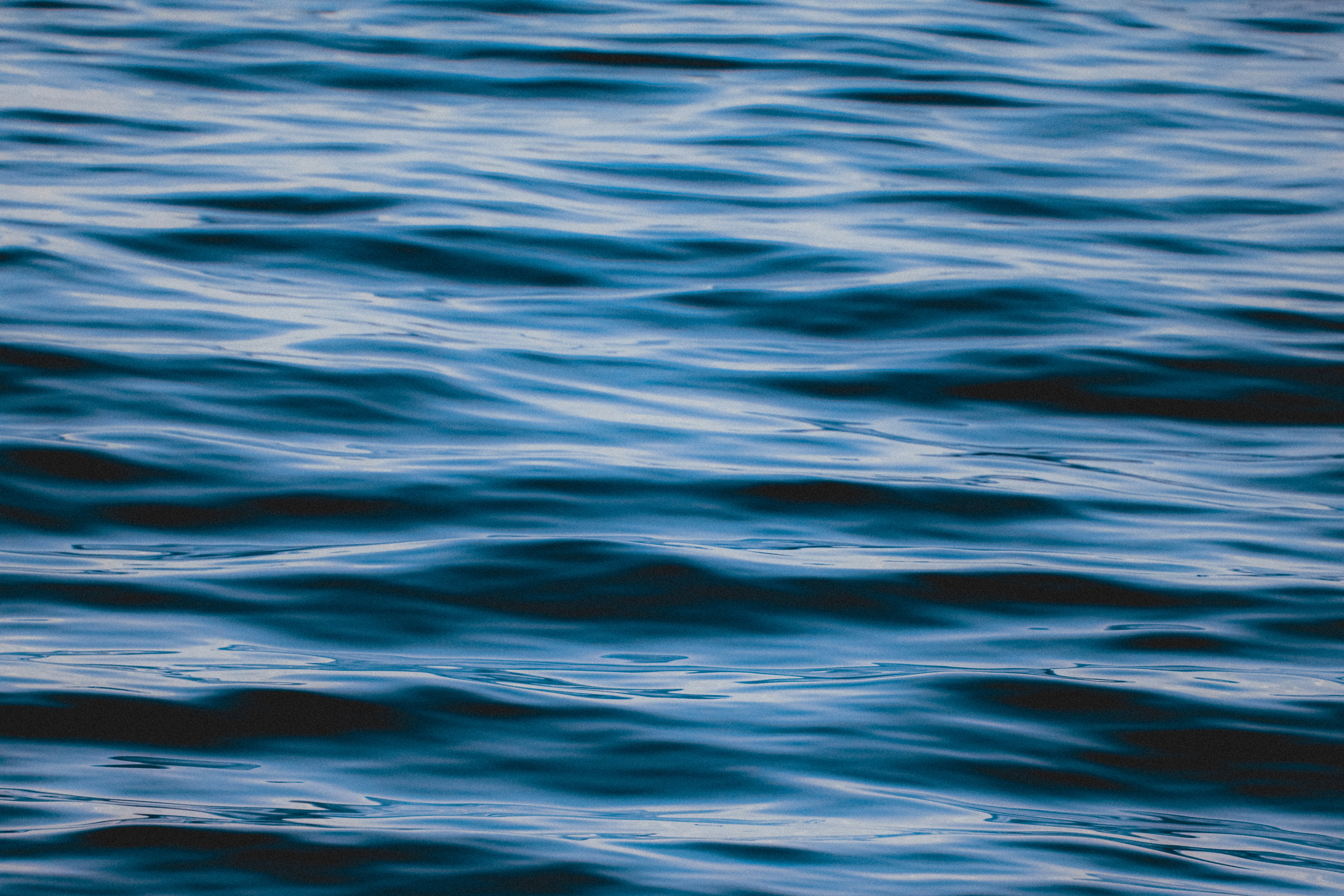 Photo by linusbelanger