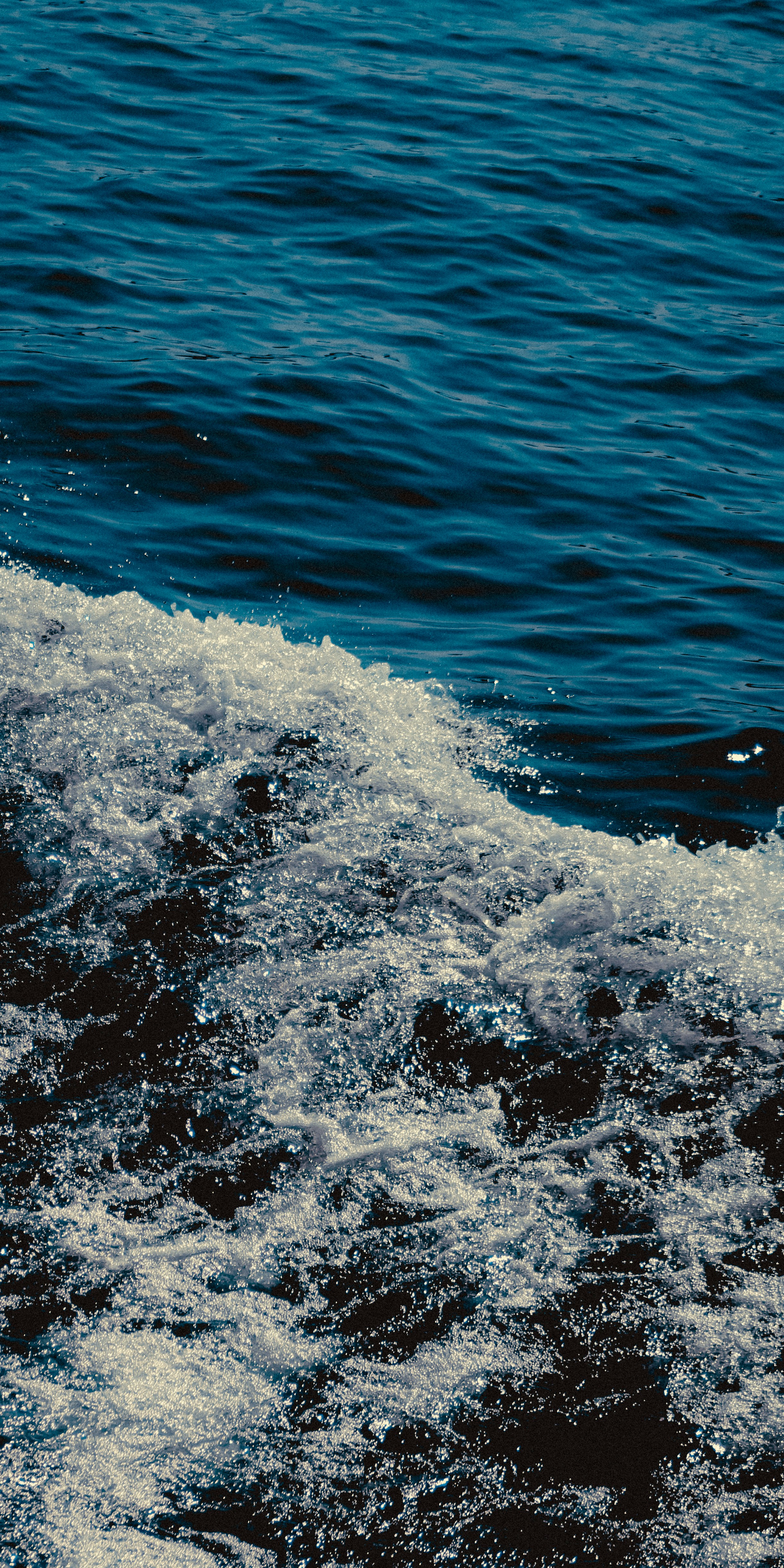 Photo by linusbelanger