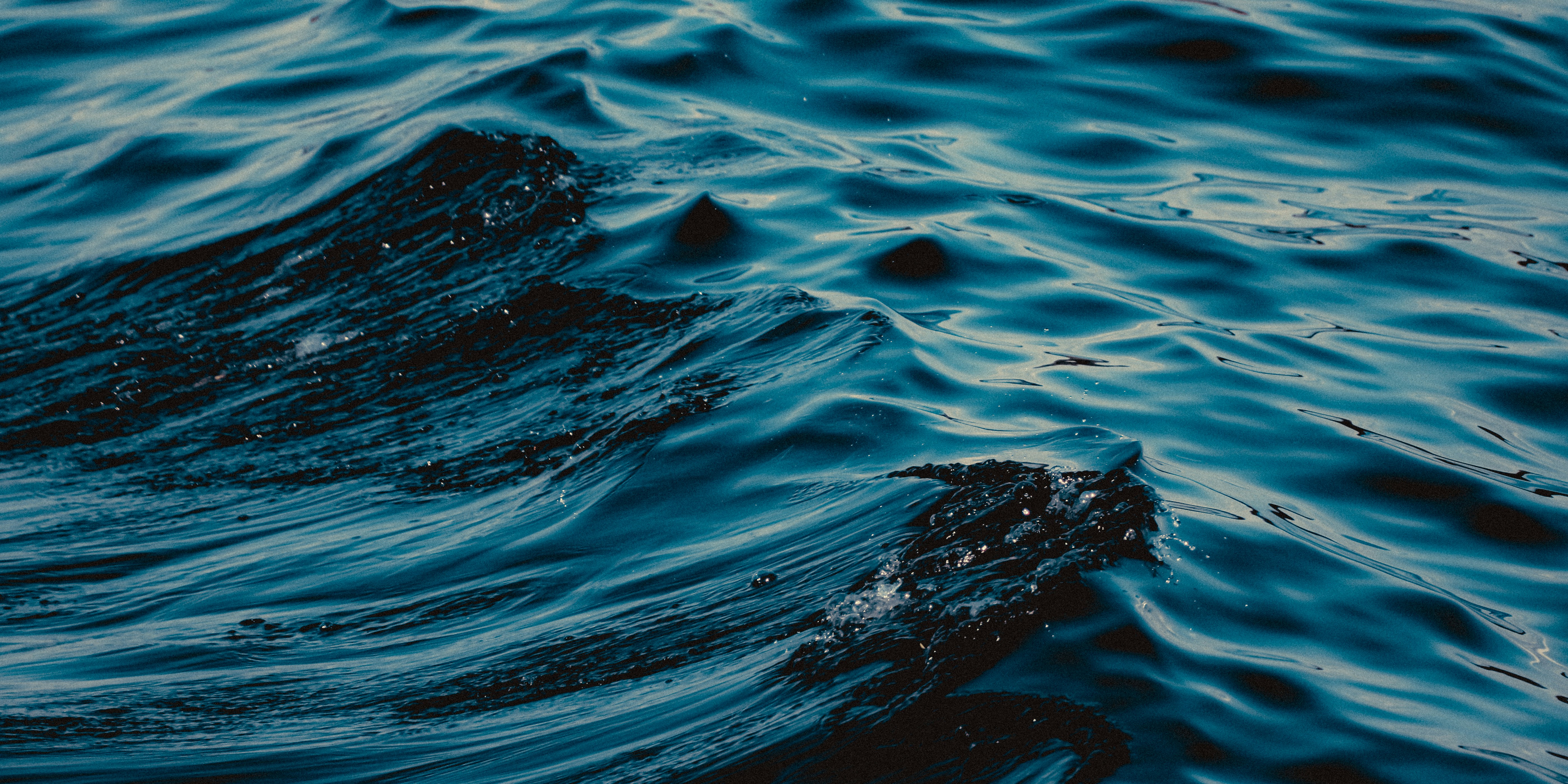 Photo by linusbelanger