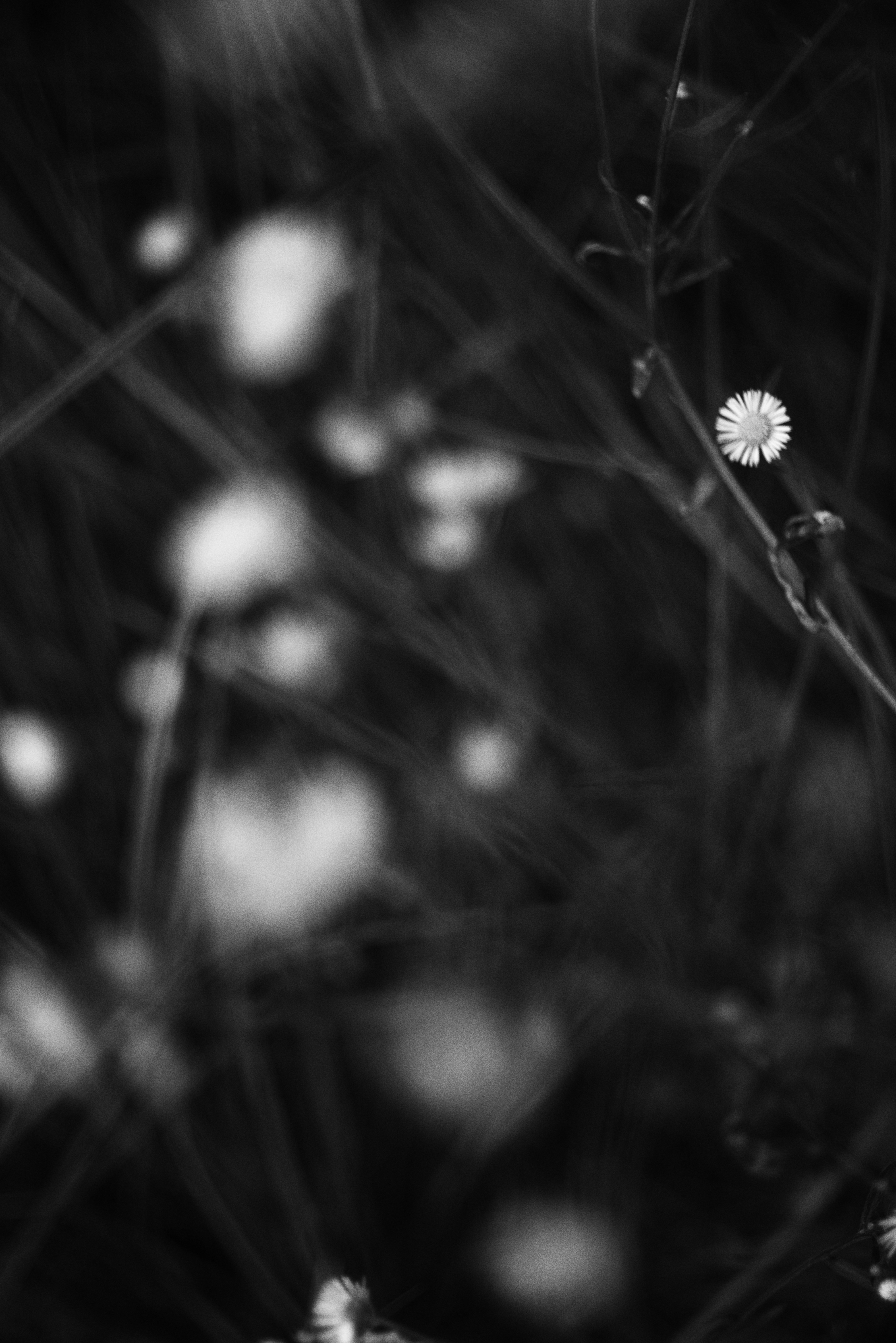 Photo by cherstve_pechivo