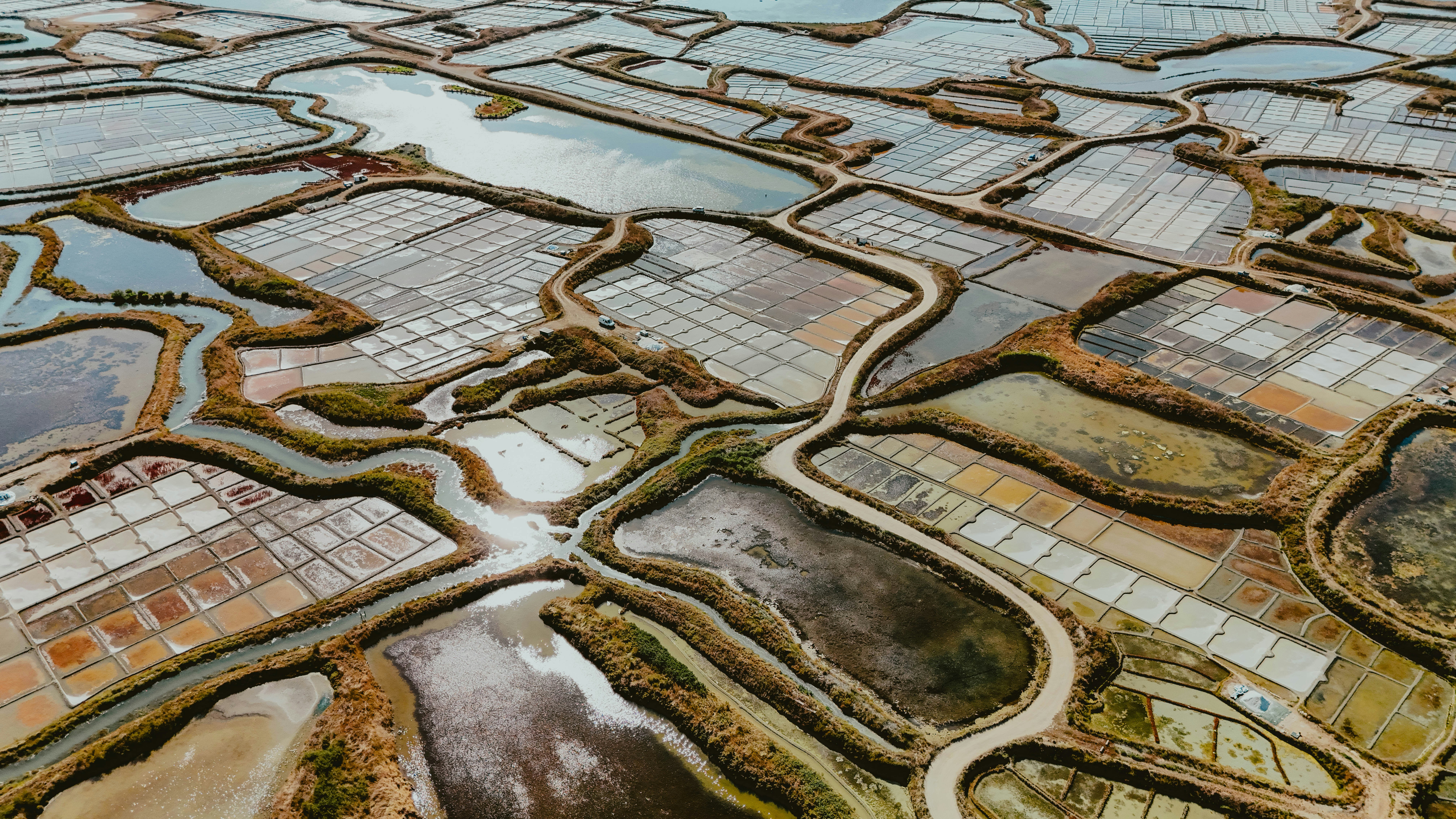 Photo by alingavriliuc