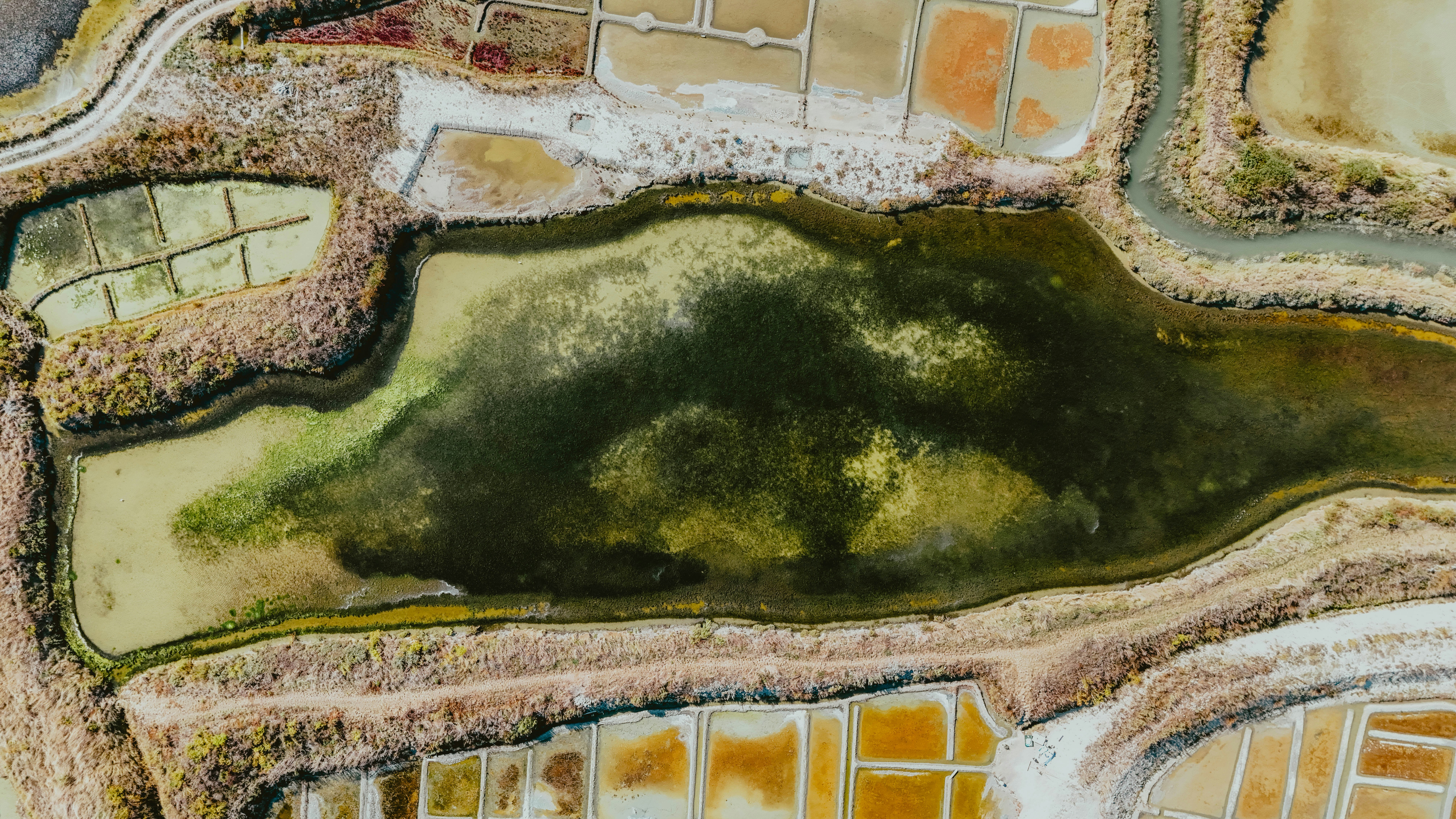 Photo by alingavriliuc