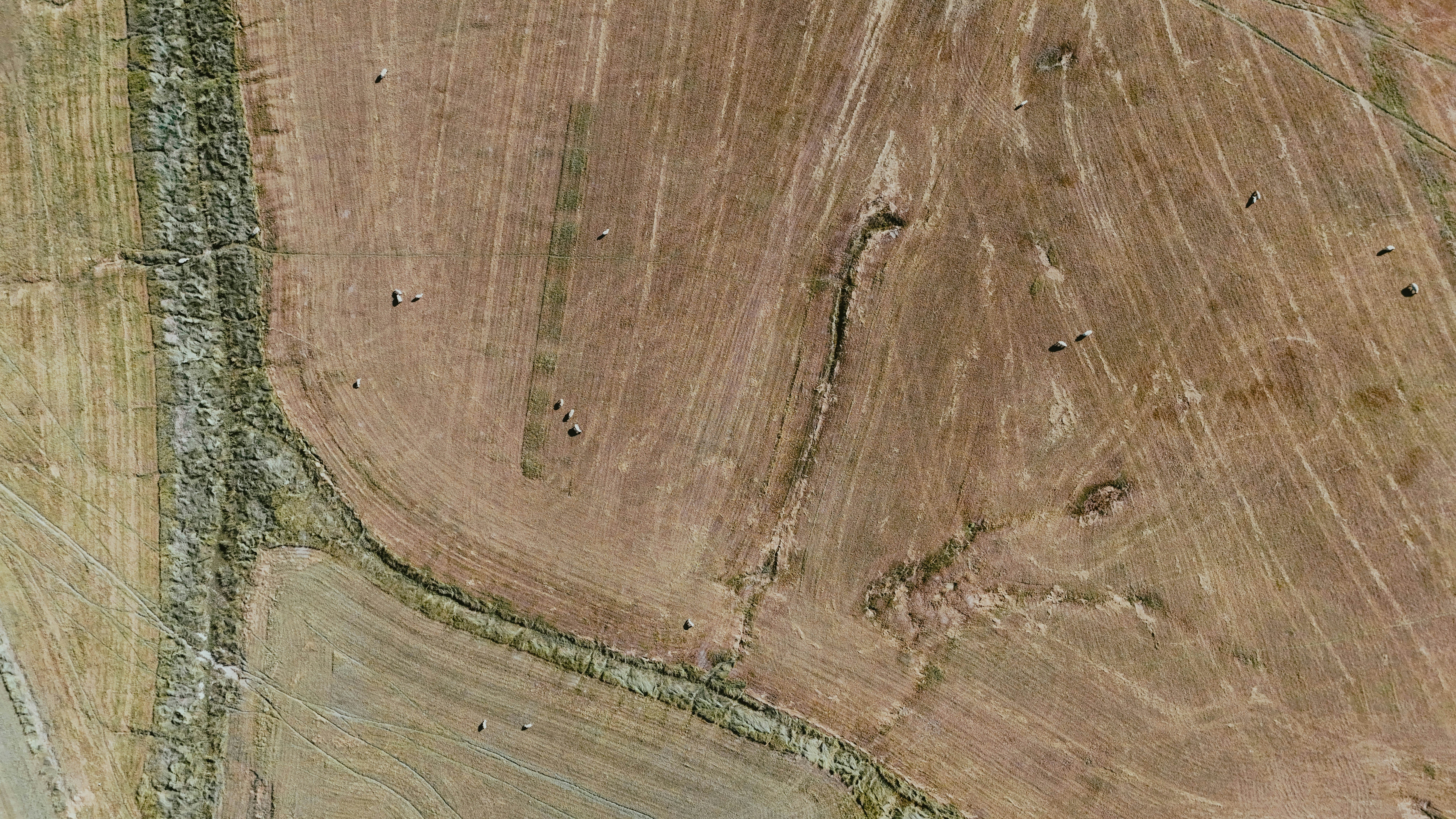 Photo by alingavriliuc