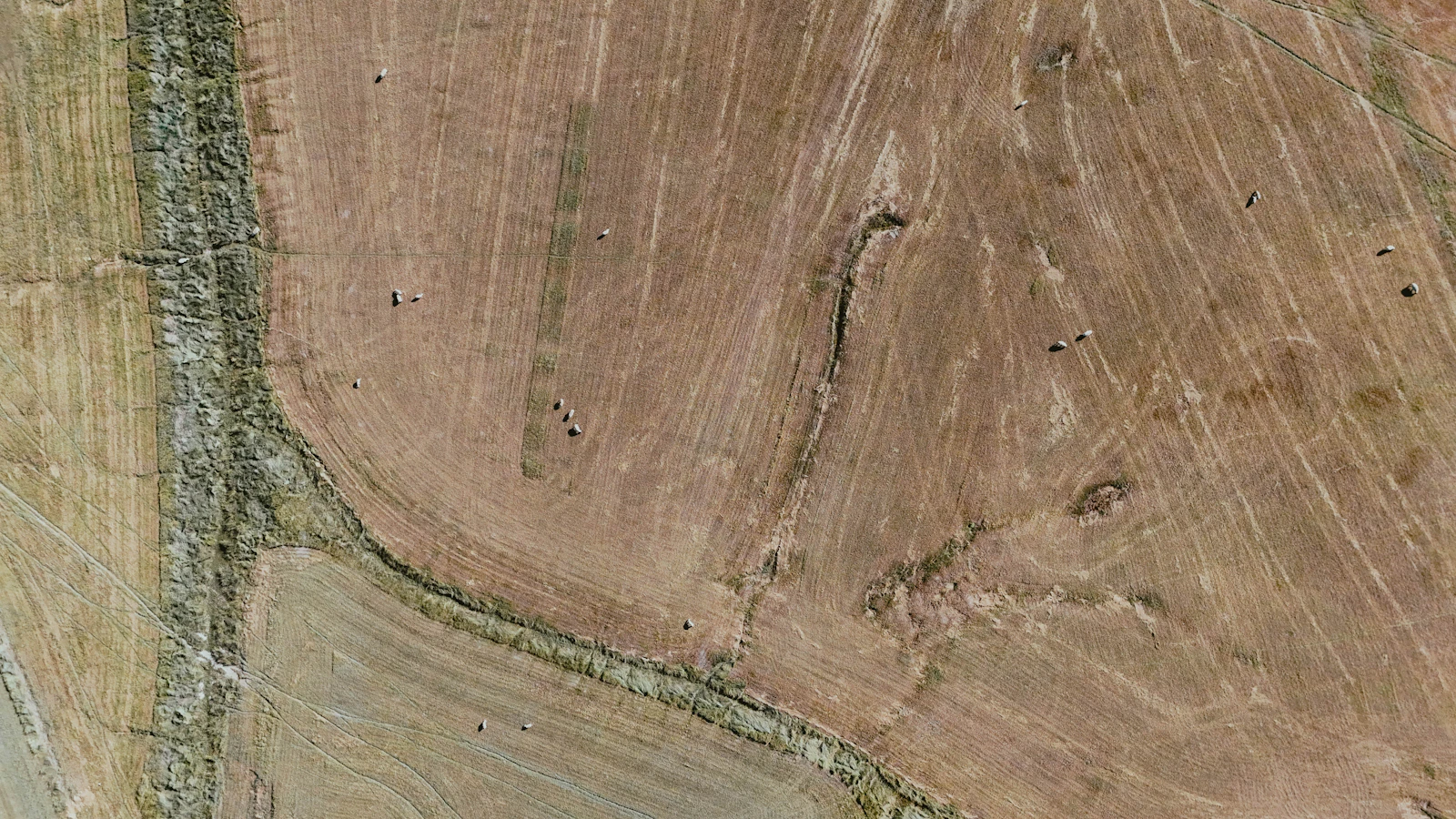 Aerial view of dry, cracked agricultural fields