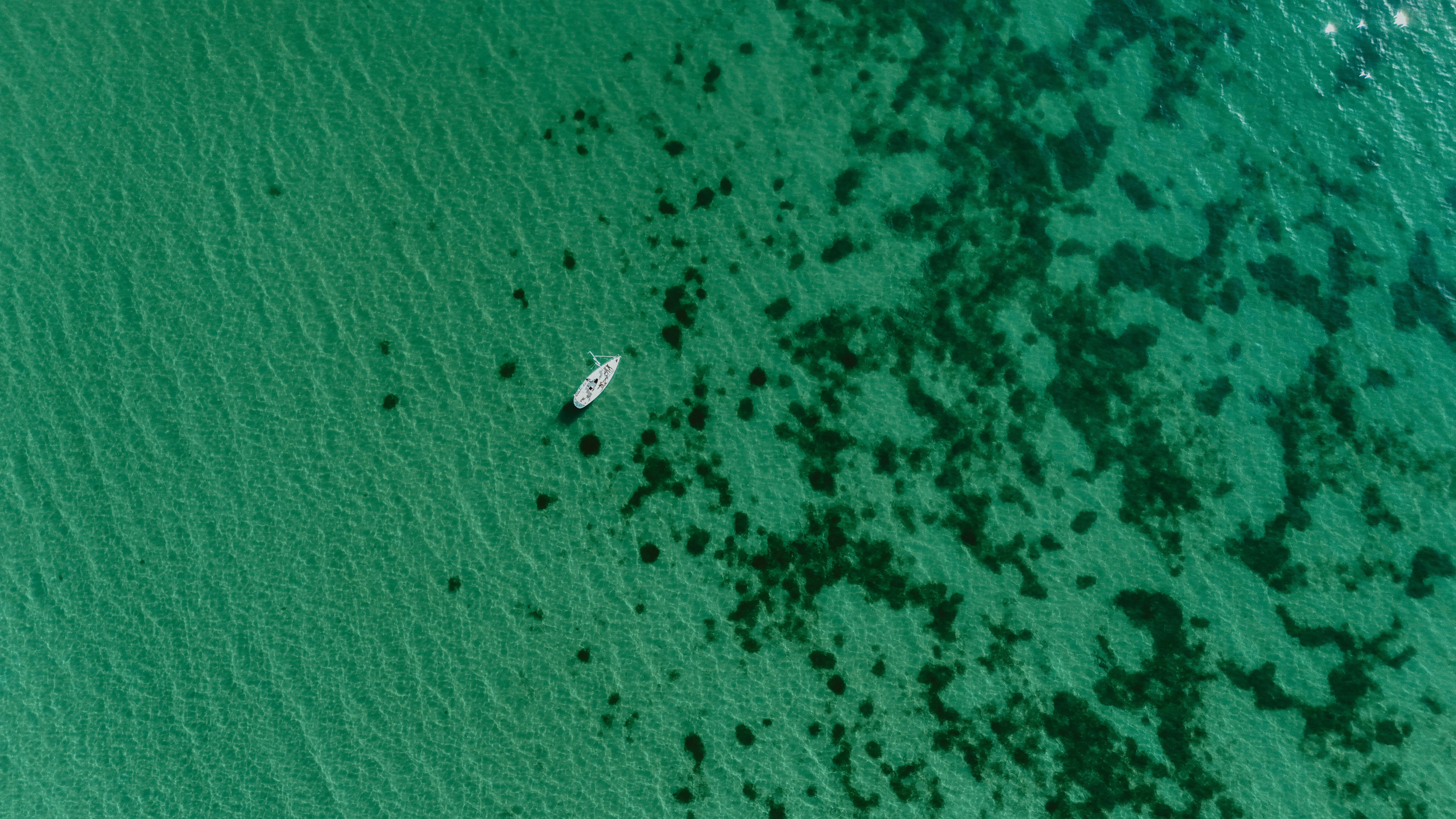 An Overview To Timely And Accurate Corporate Tax Return Filing