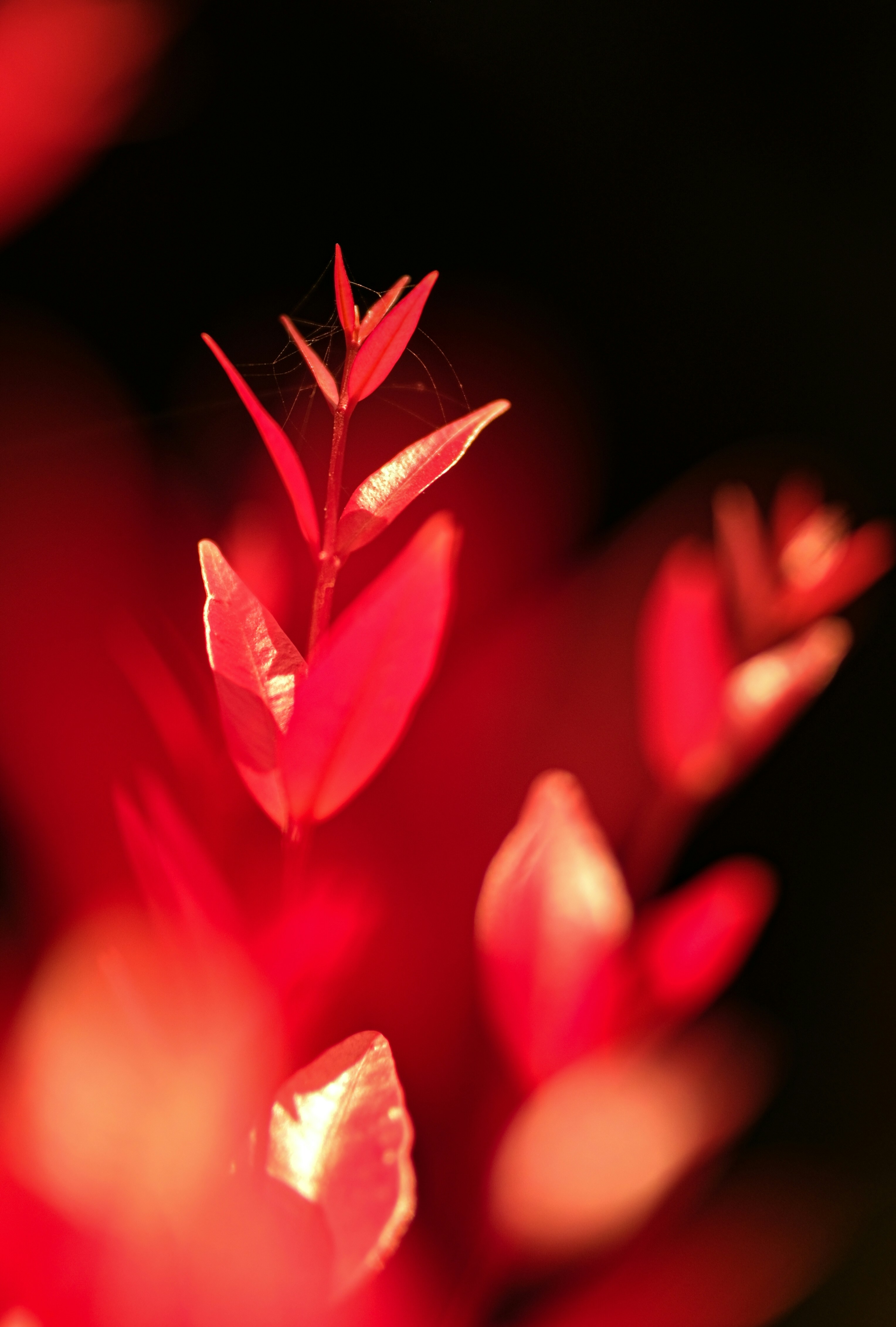Photo by lensofadi