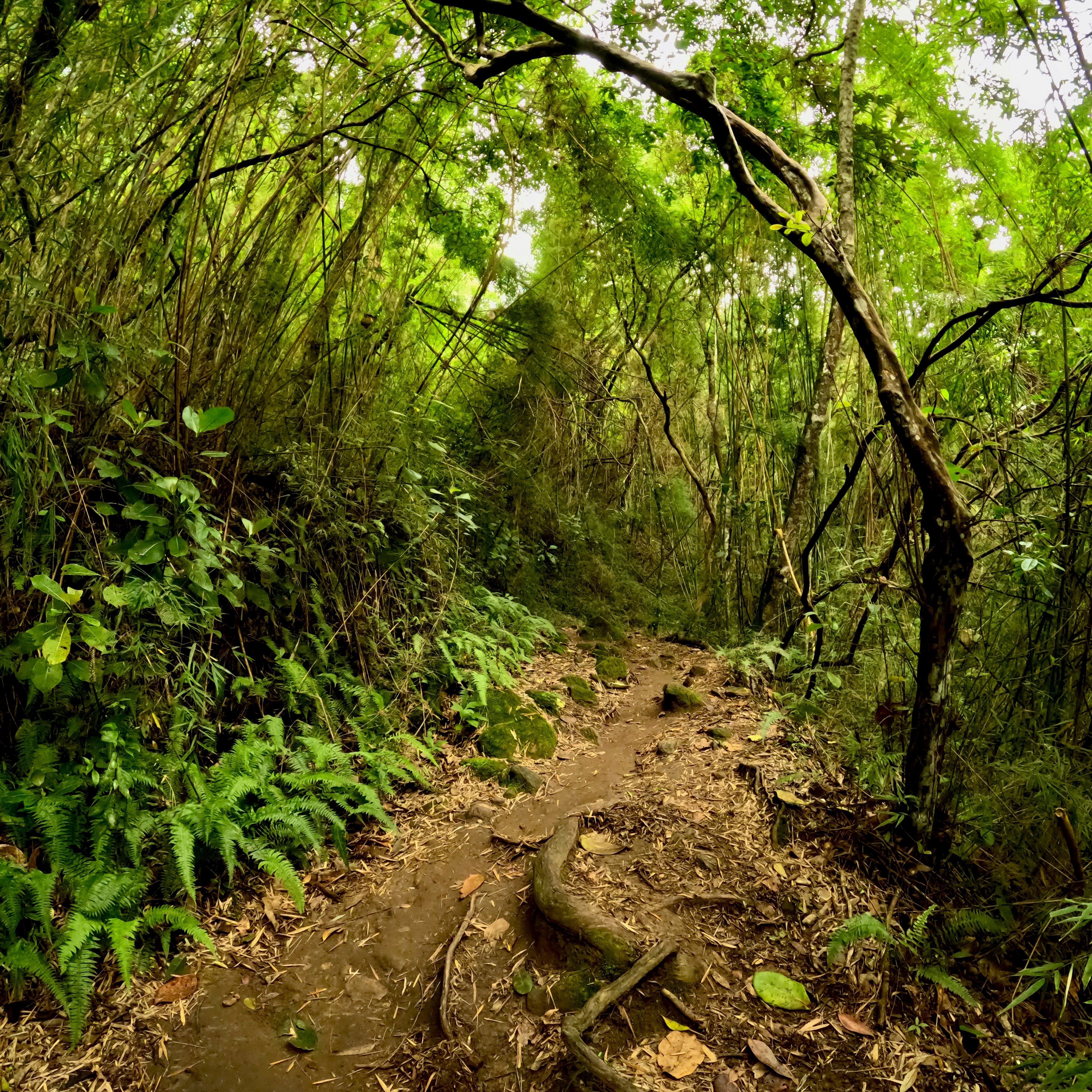 Photo by shotsbyedgardo