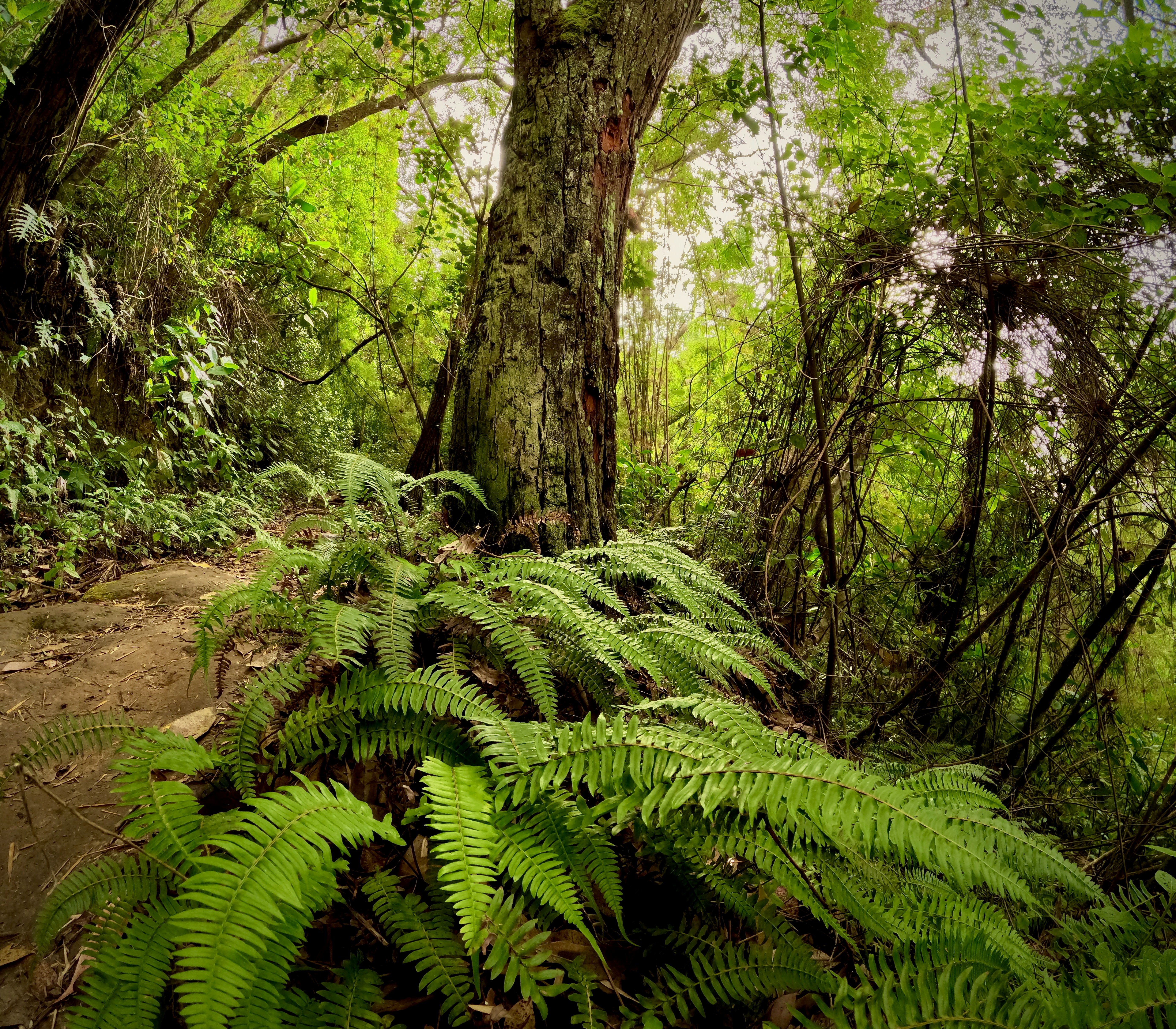 Photo by shotsbyedgardo