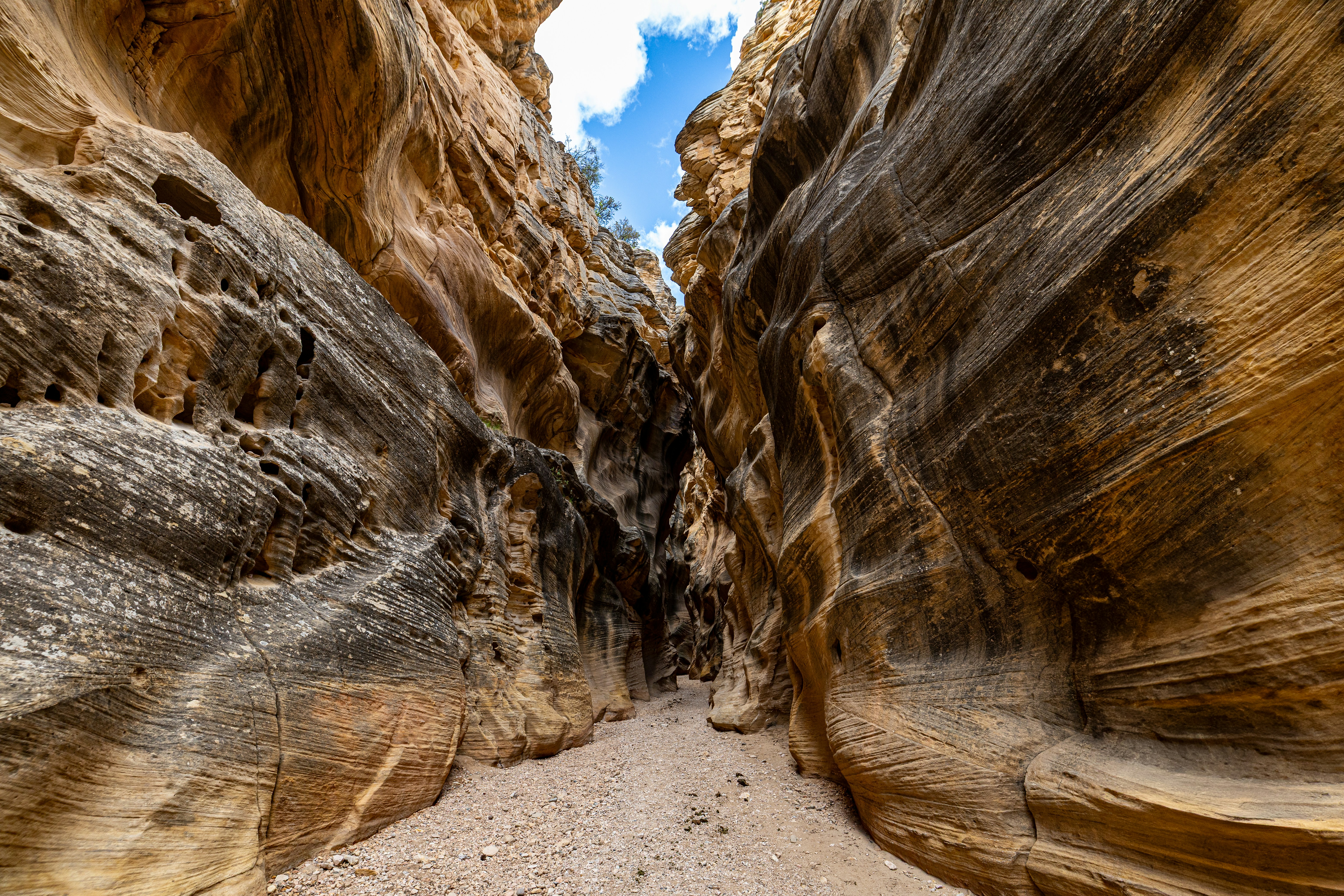 Photo by lancetraveler60