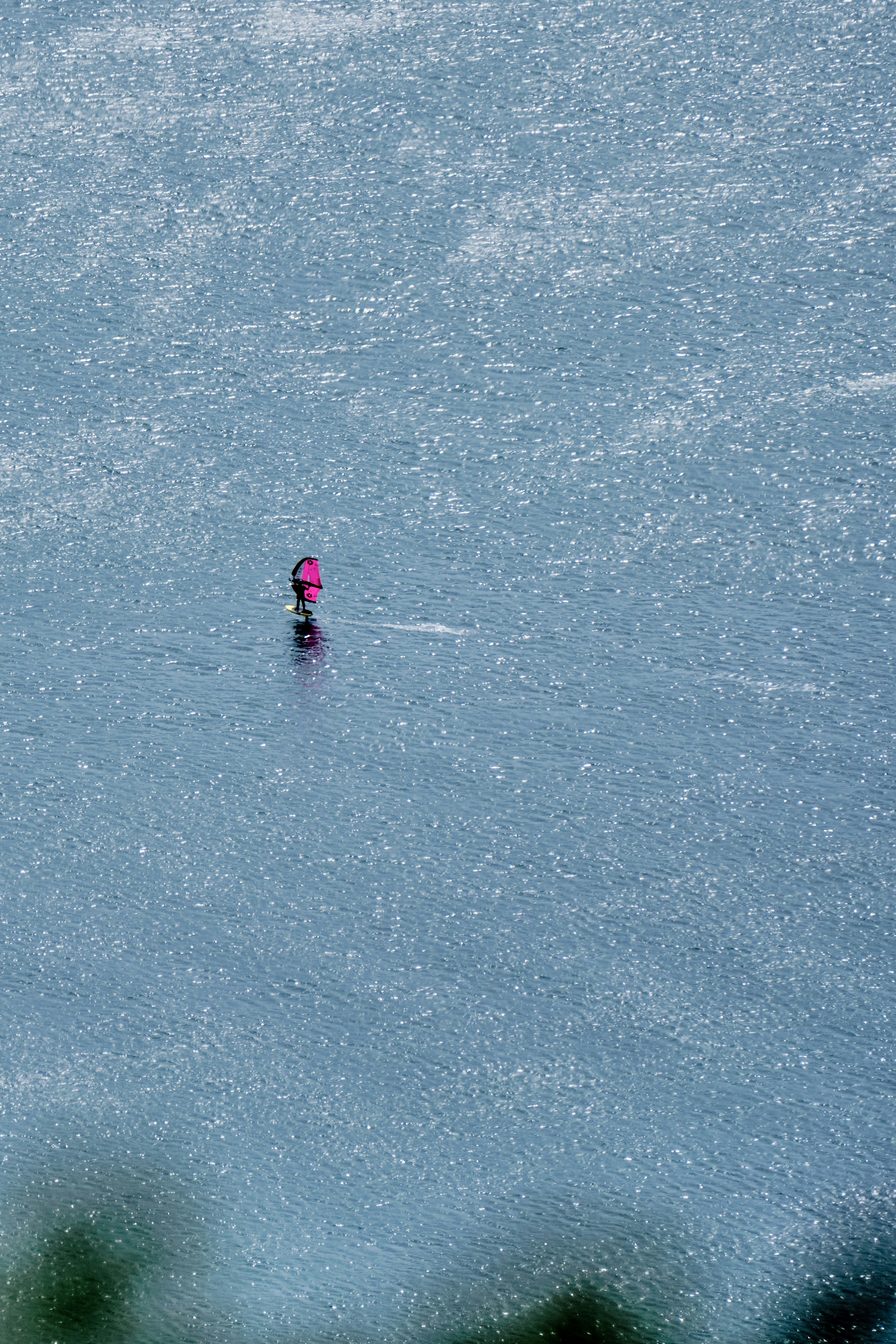 Person with pink umbrella walking on a shimmering surface.