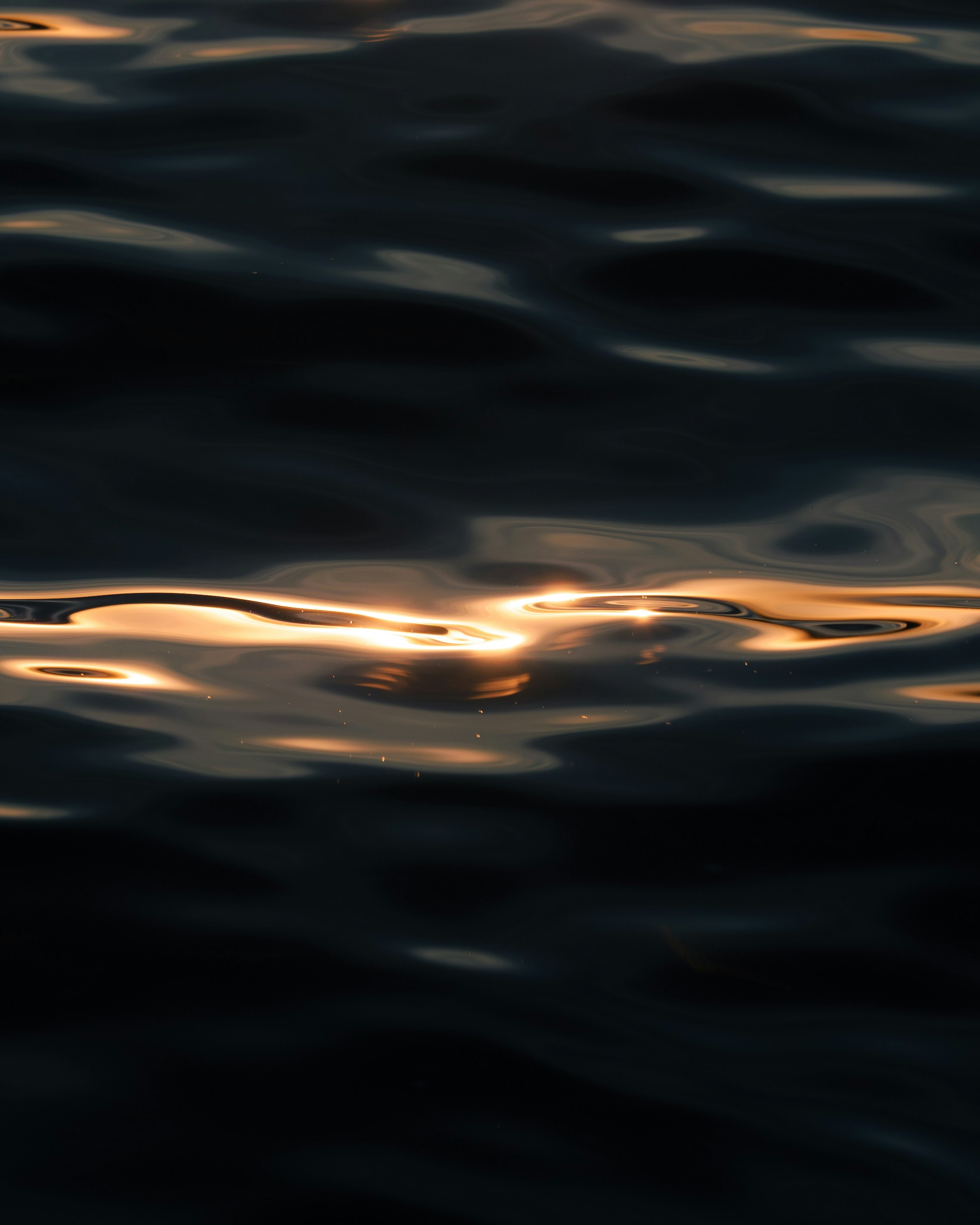 Sunlight reflects on dark rippling water