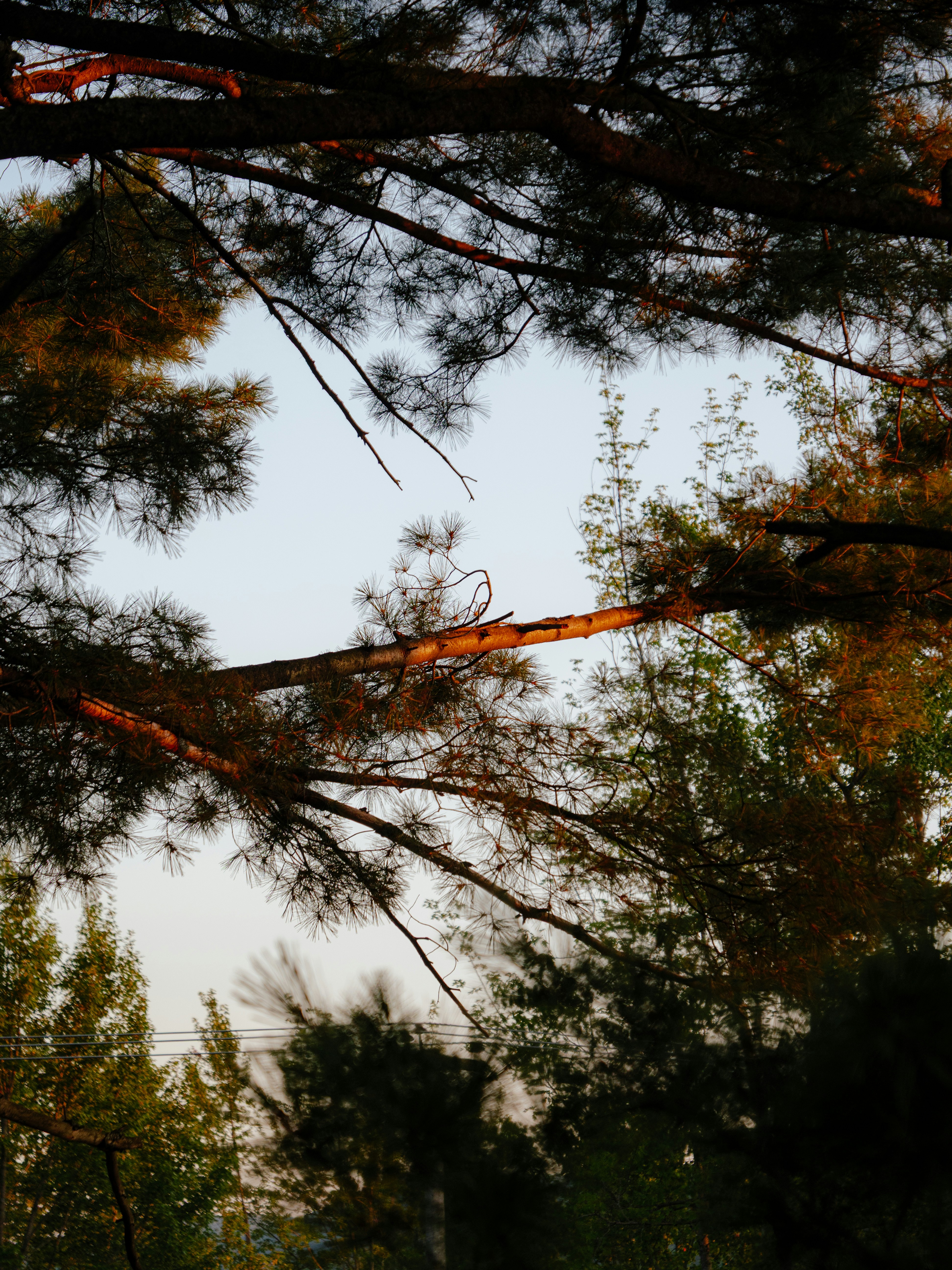 Photo by storybyphil