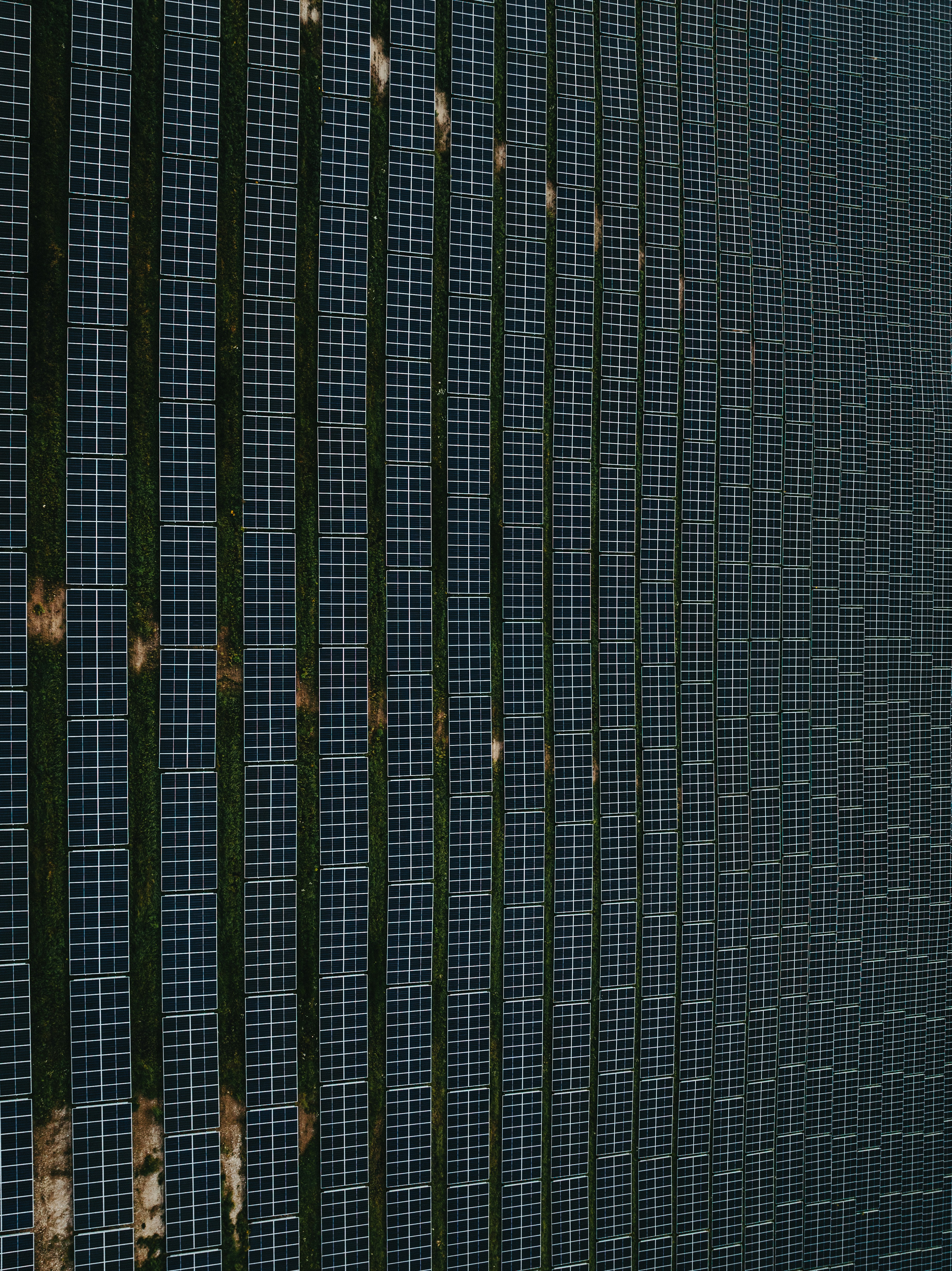 Infographic of government subsidies for solar energy