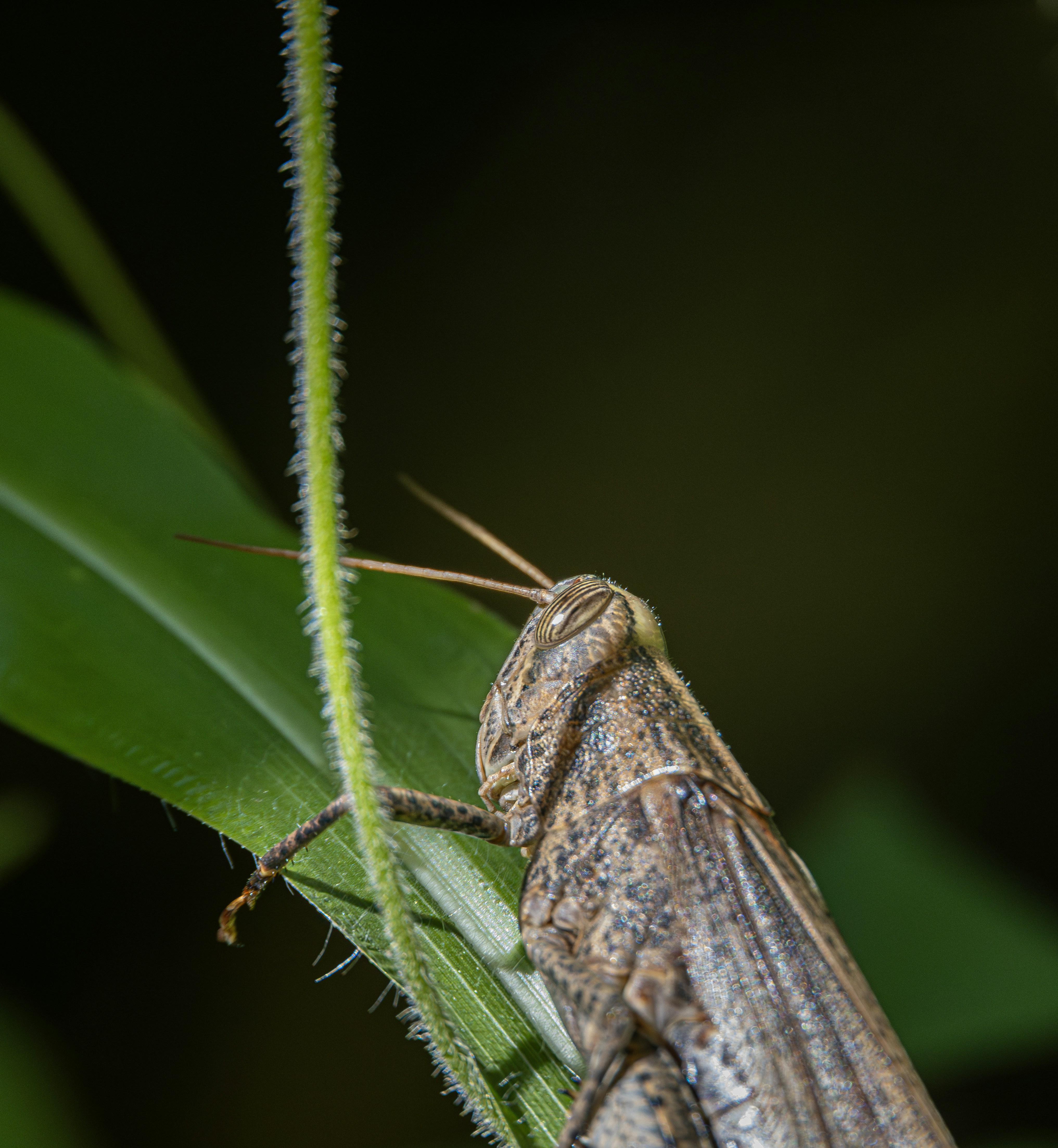 Photo by tigredemar