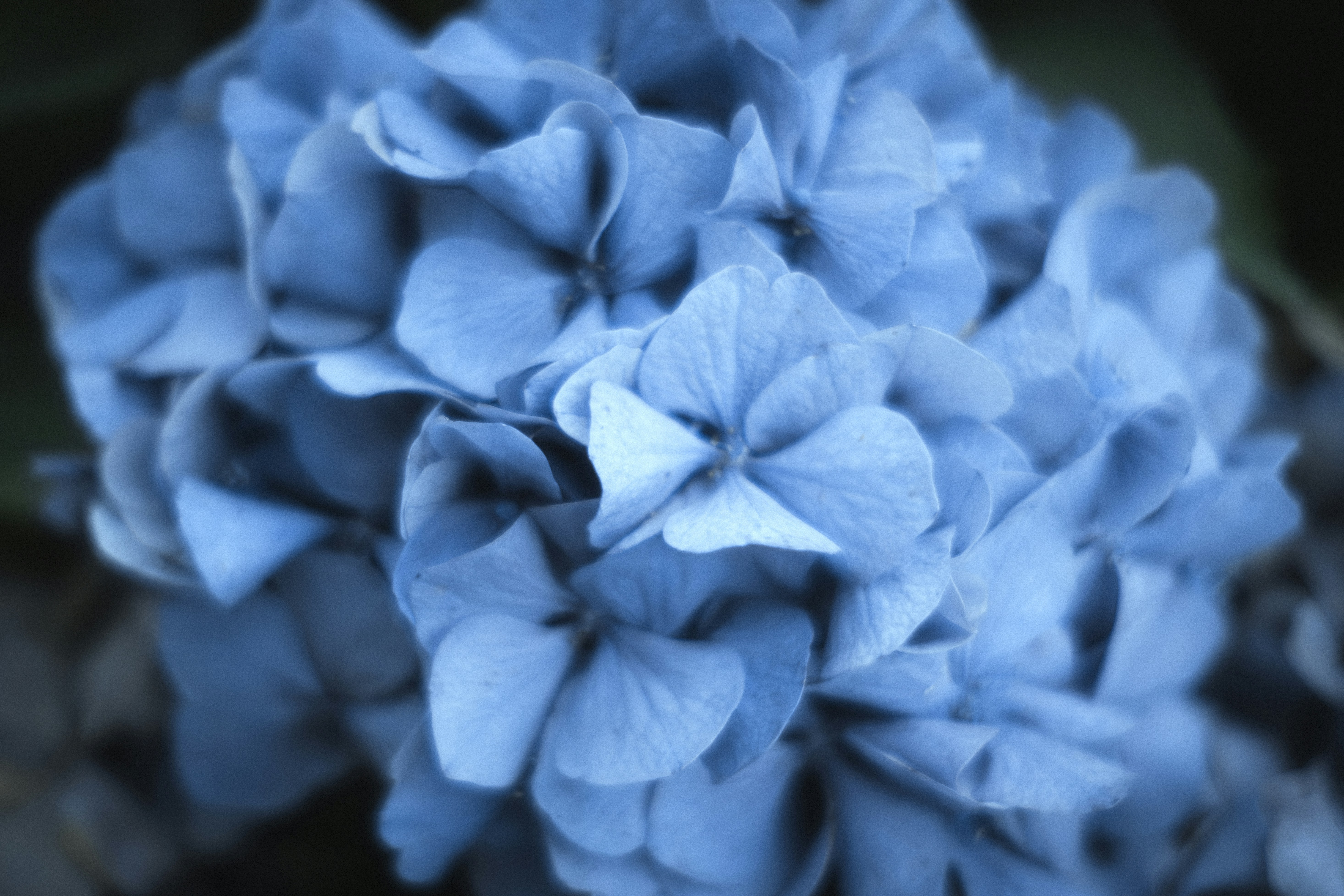 Photo by anastasiatr