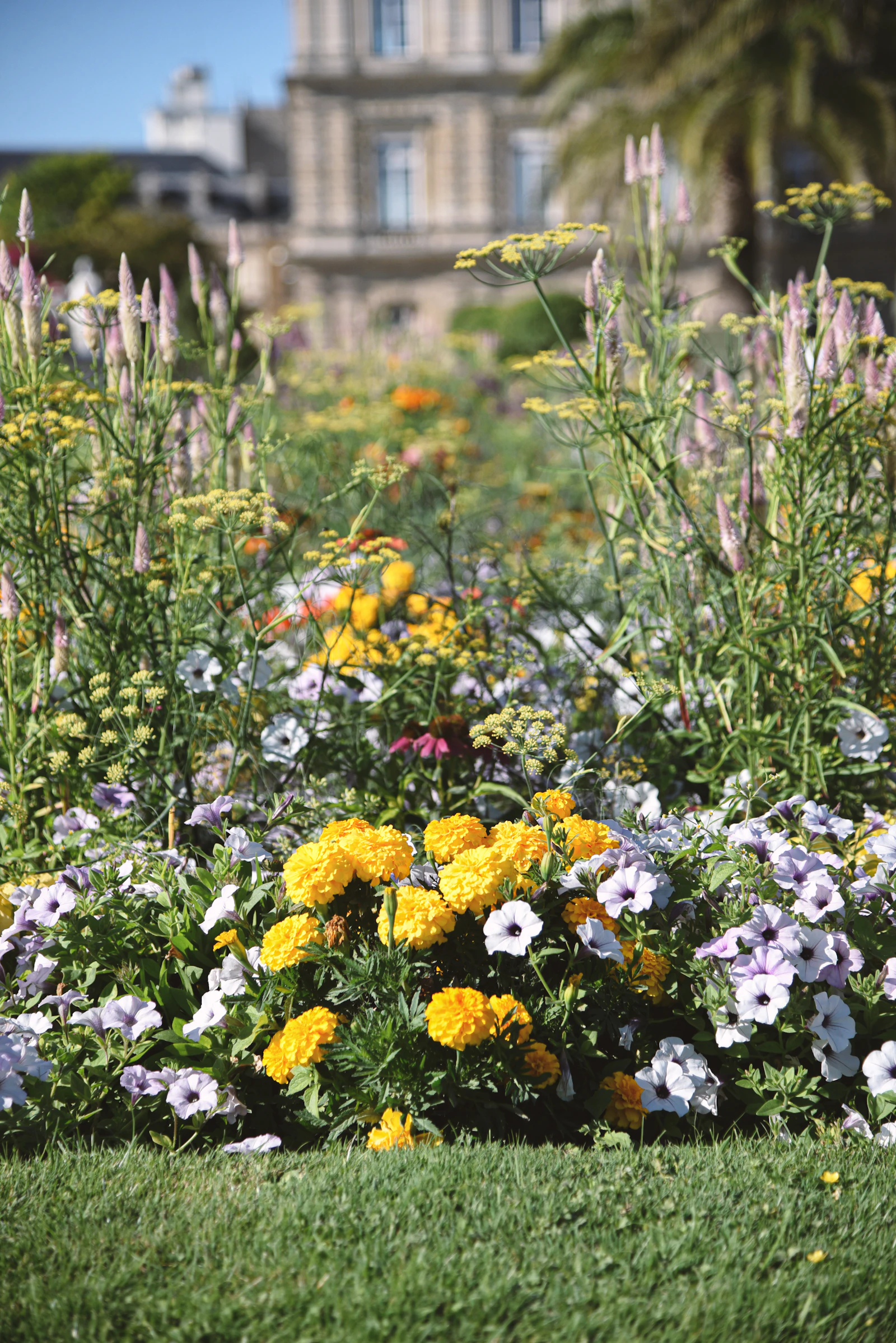 Flower beds beside a historic building in Paris