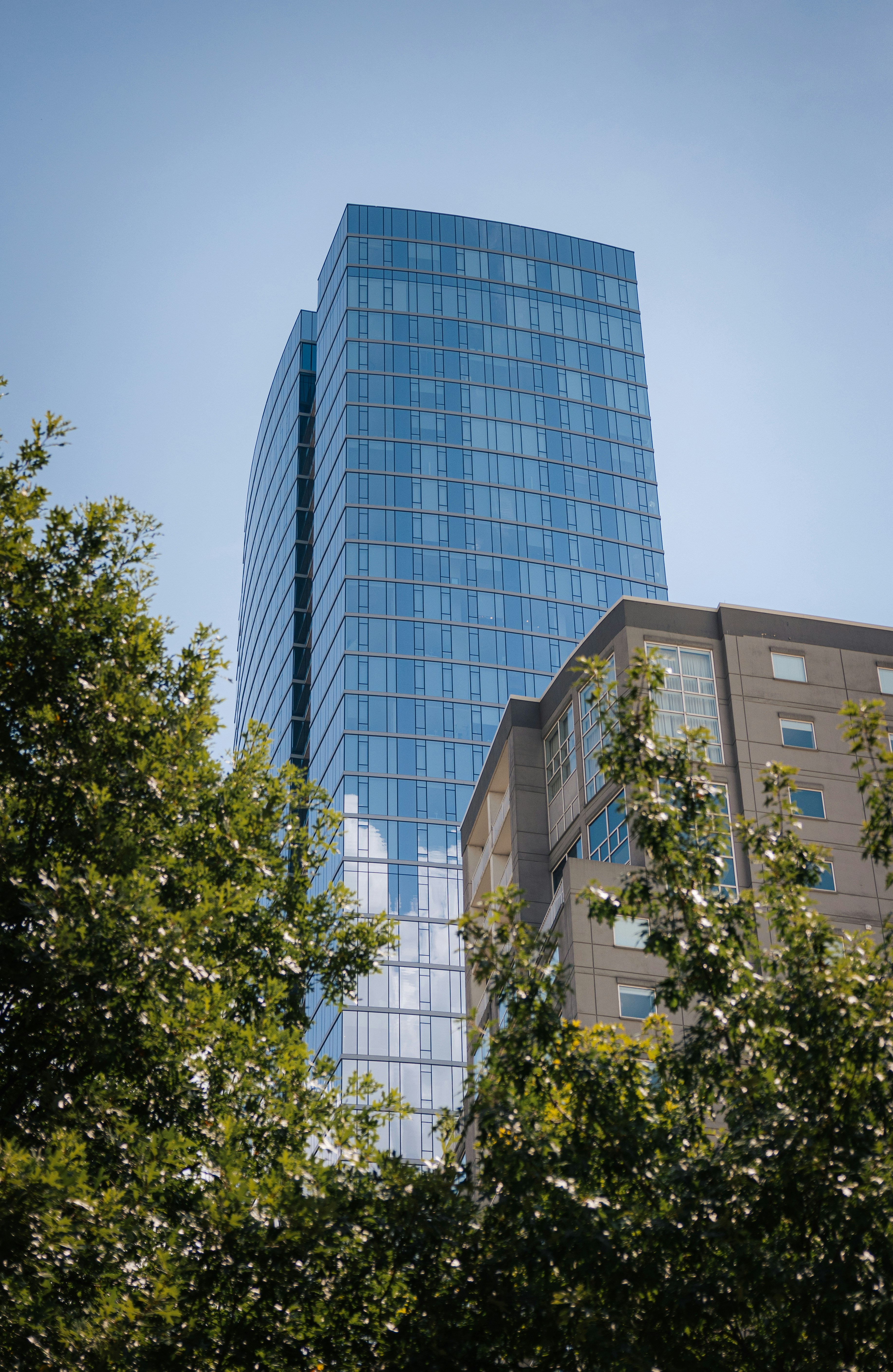 Photo by salvidorcade