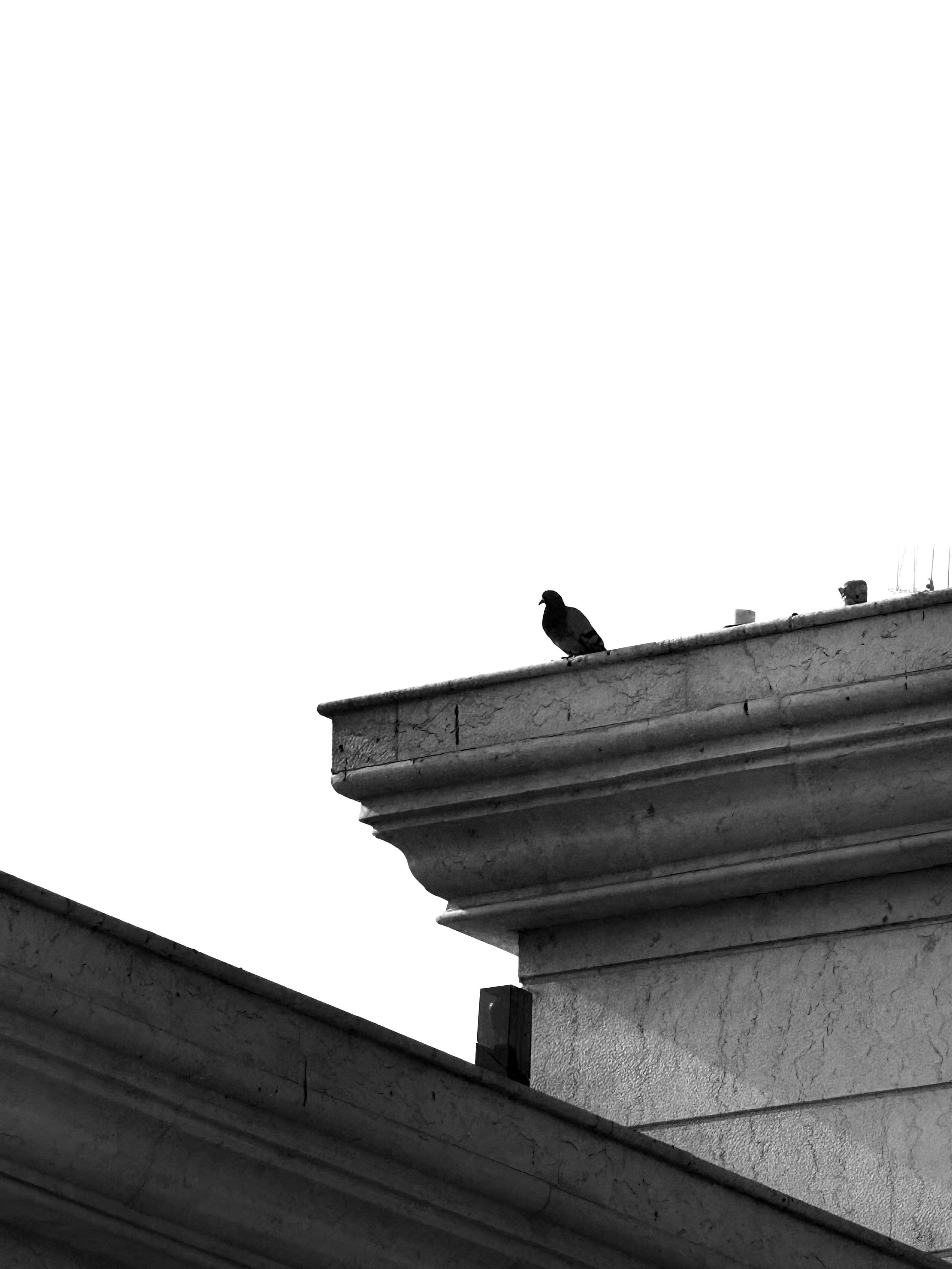 Ayman Rakib (@mr_ayman) | Komunitas Foto Unsplash