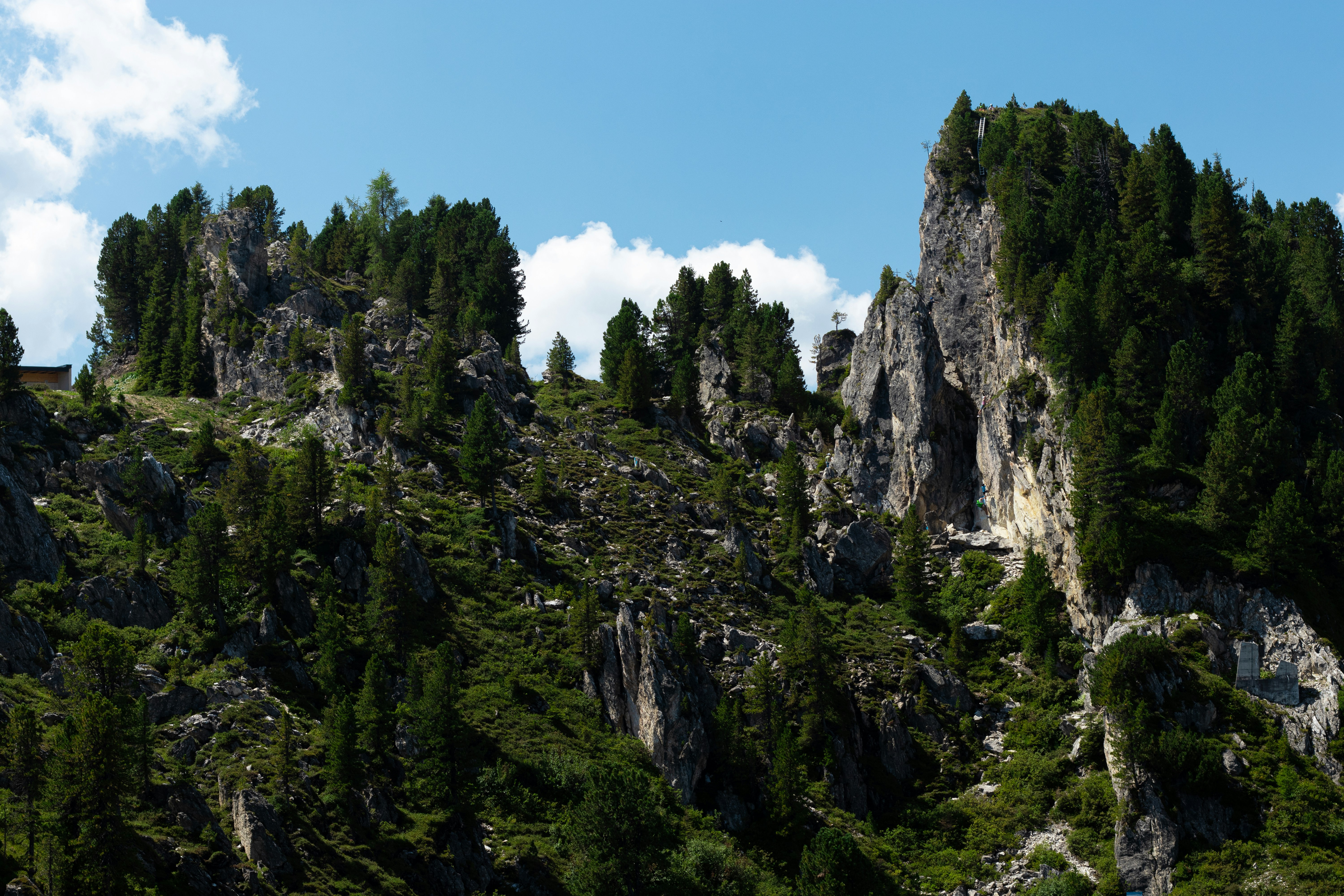 Photo by davidfucsku