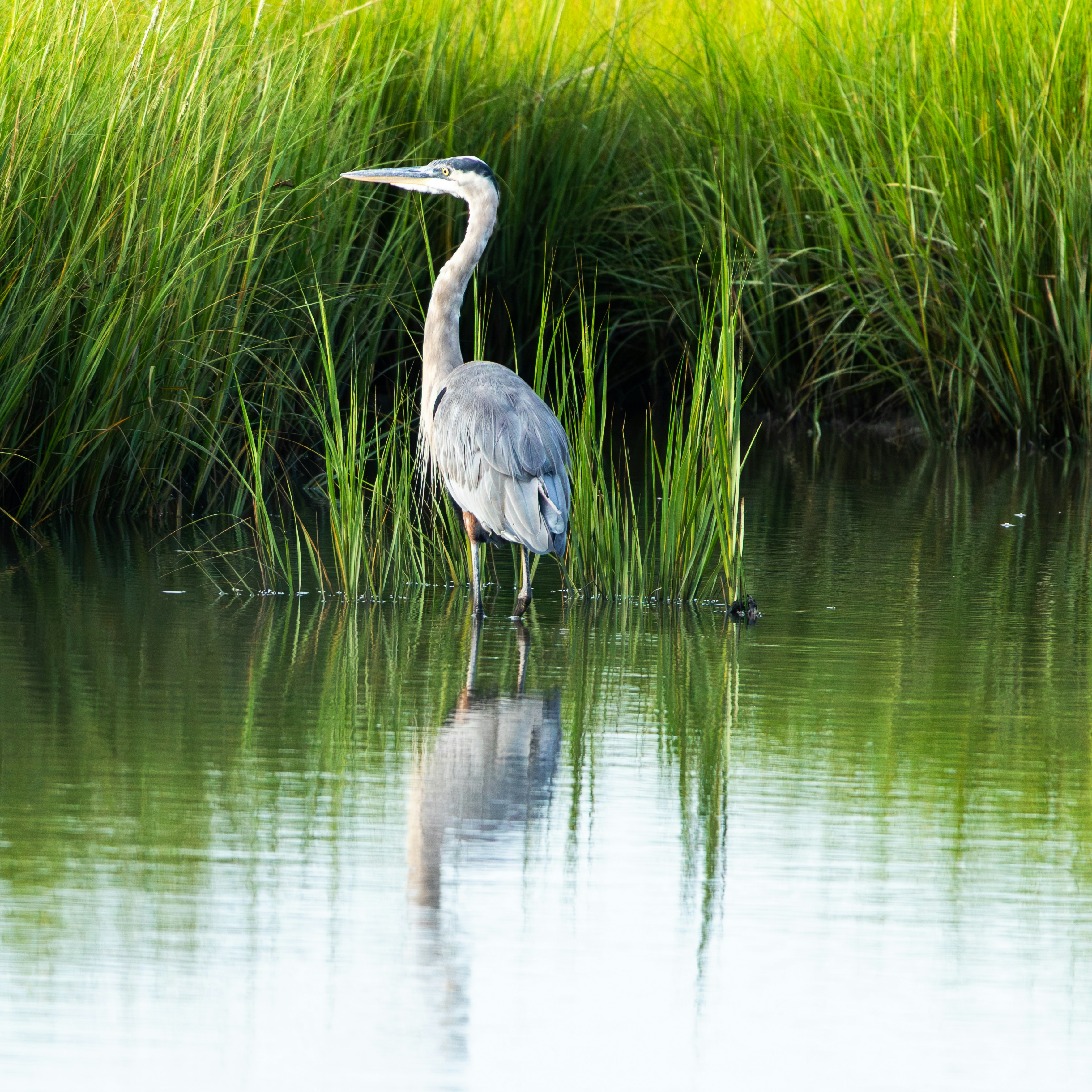 Photo by ucwhphotography