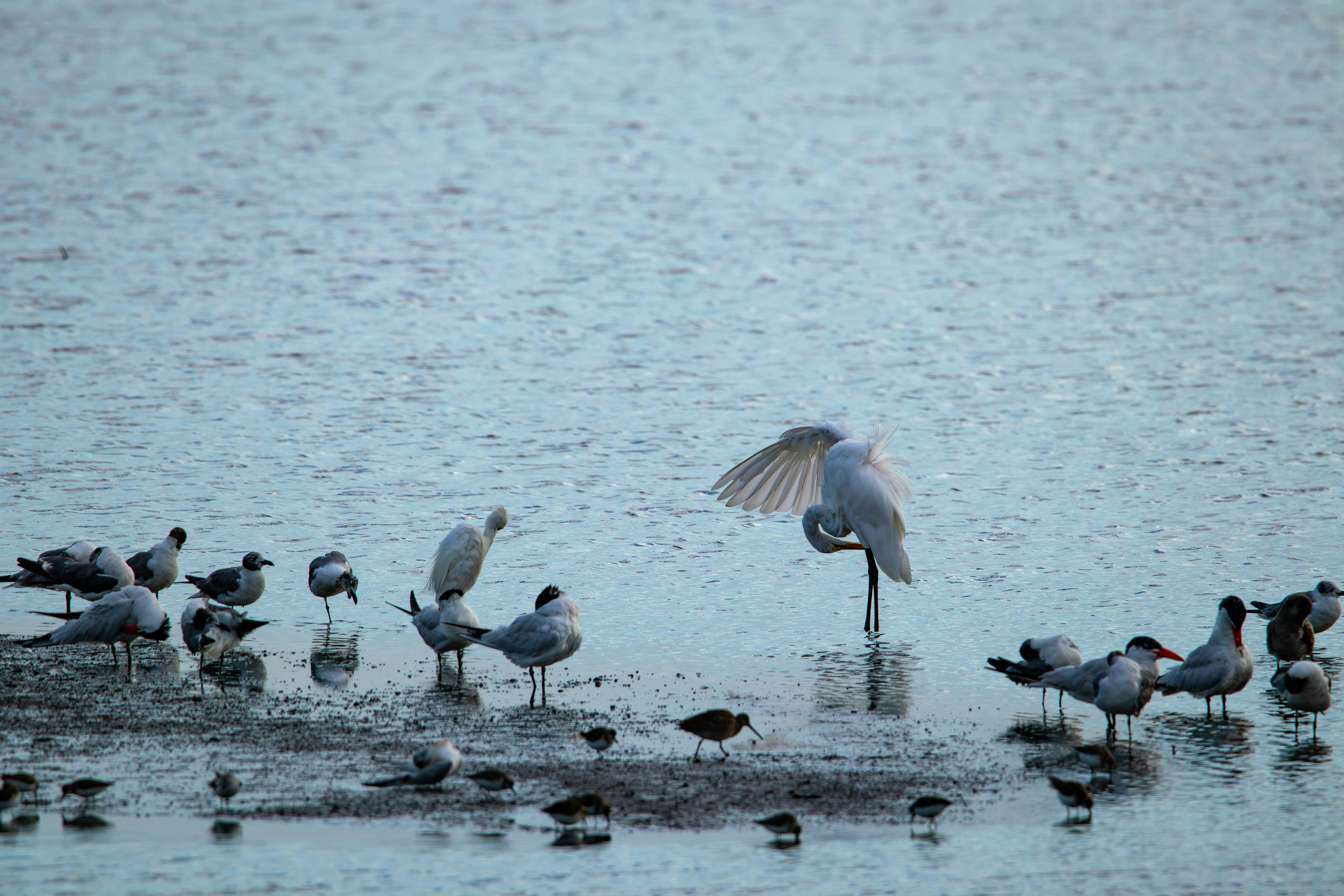 Photo by ucwhphotography