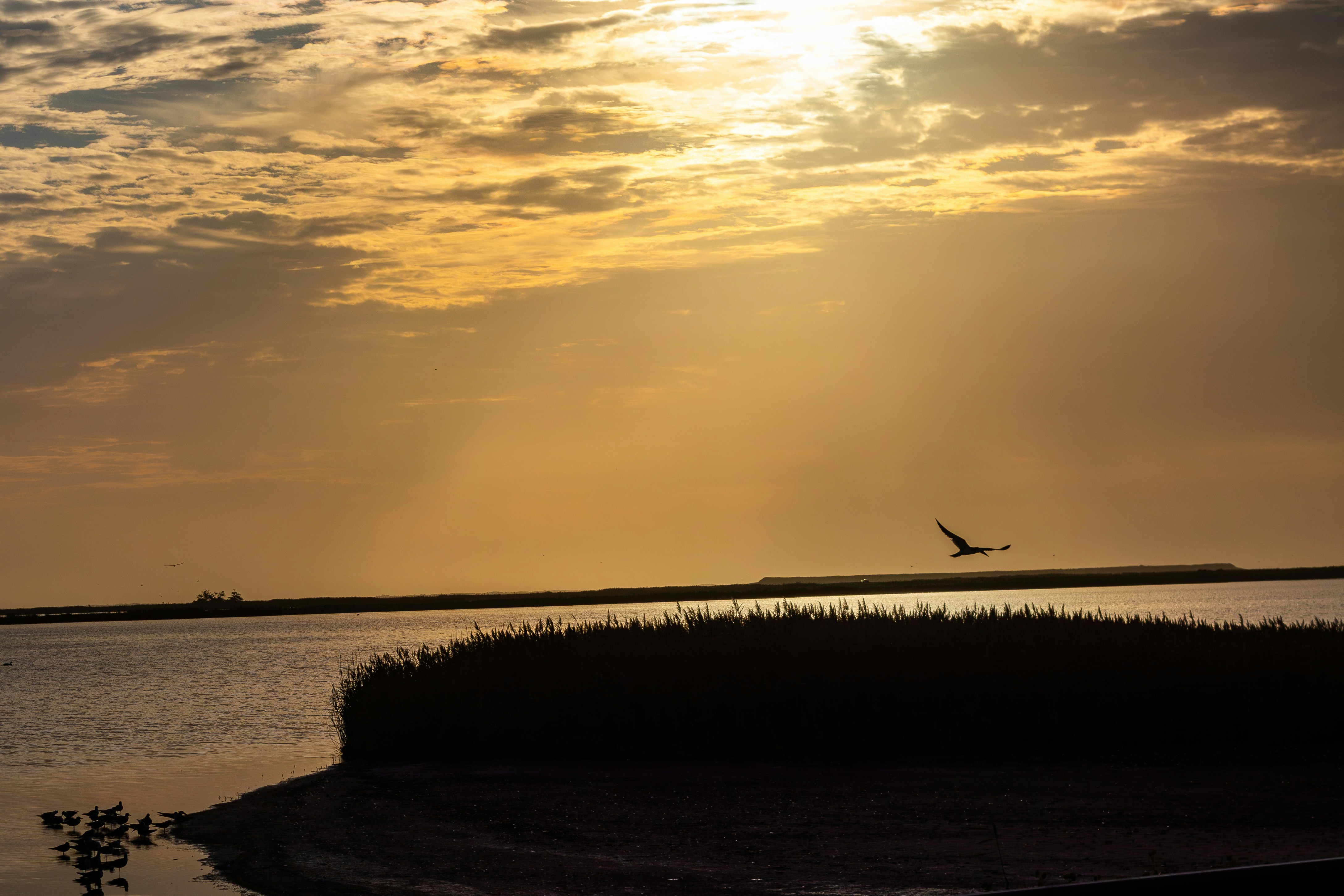 Photo by ucwhphotography