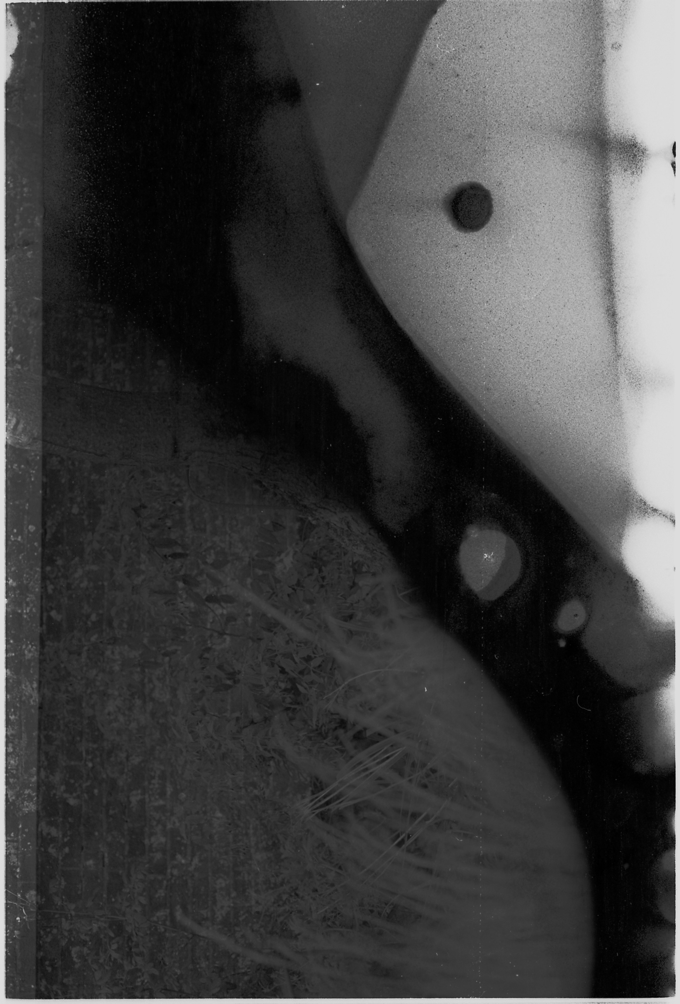 Photo by tanyabarrow