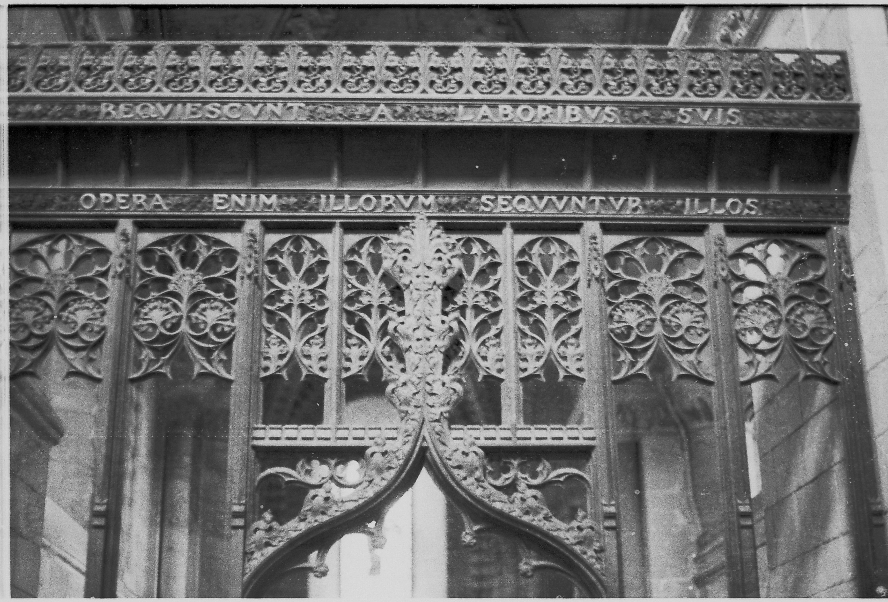 Photo by tanyabarrow