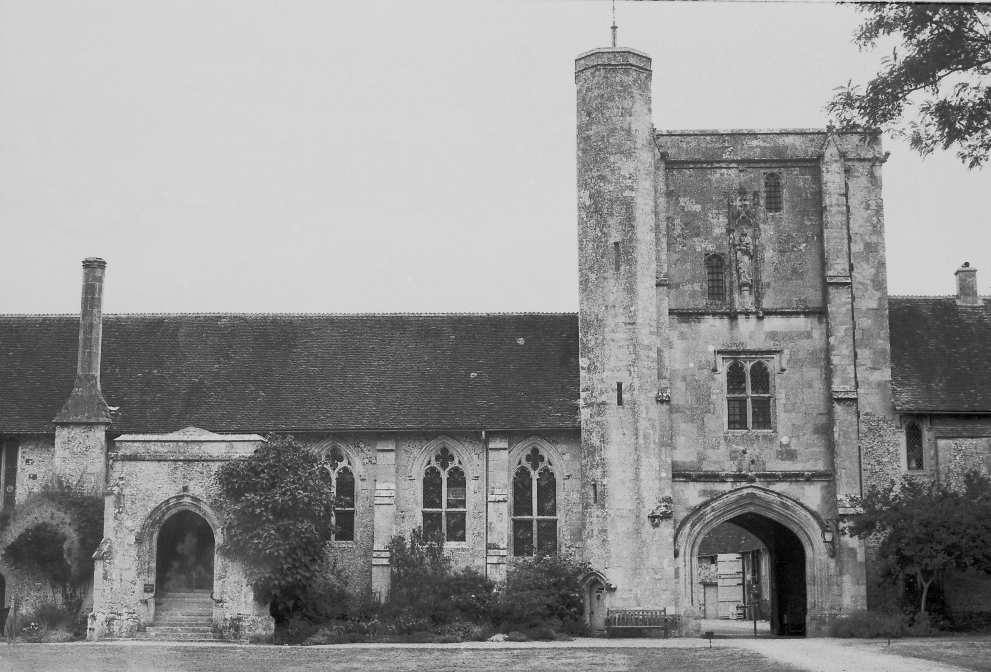 Photo by tanyabarrow