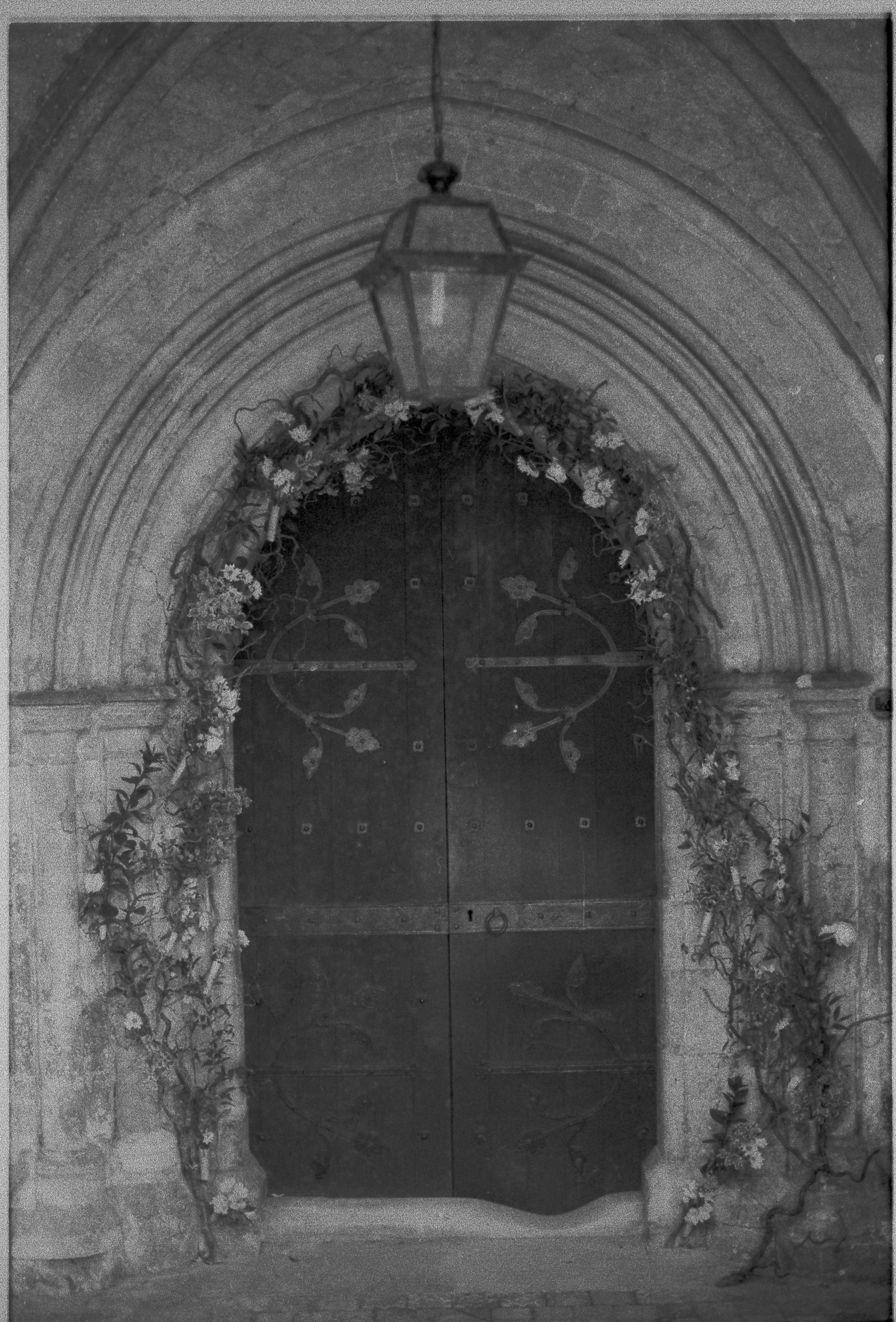 Photo by tanyabarrow