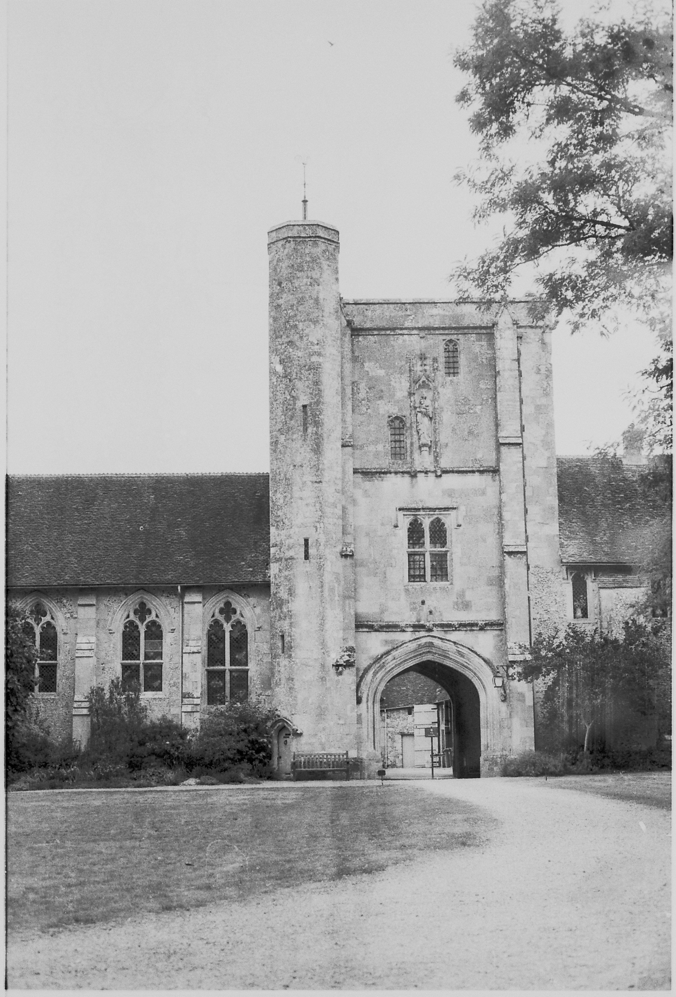 Photo by tanyabarrow