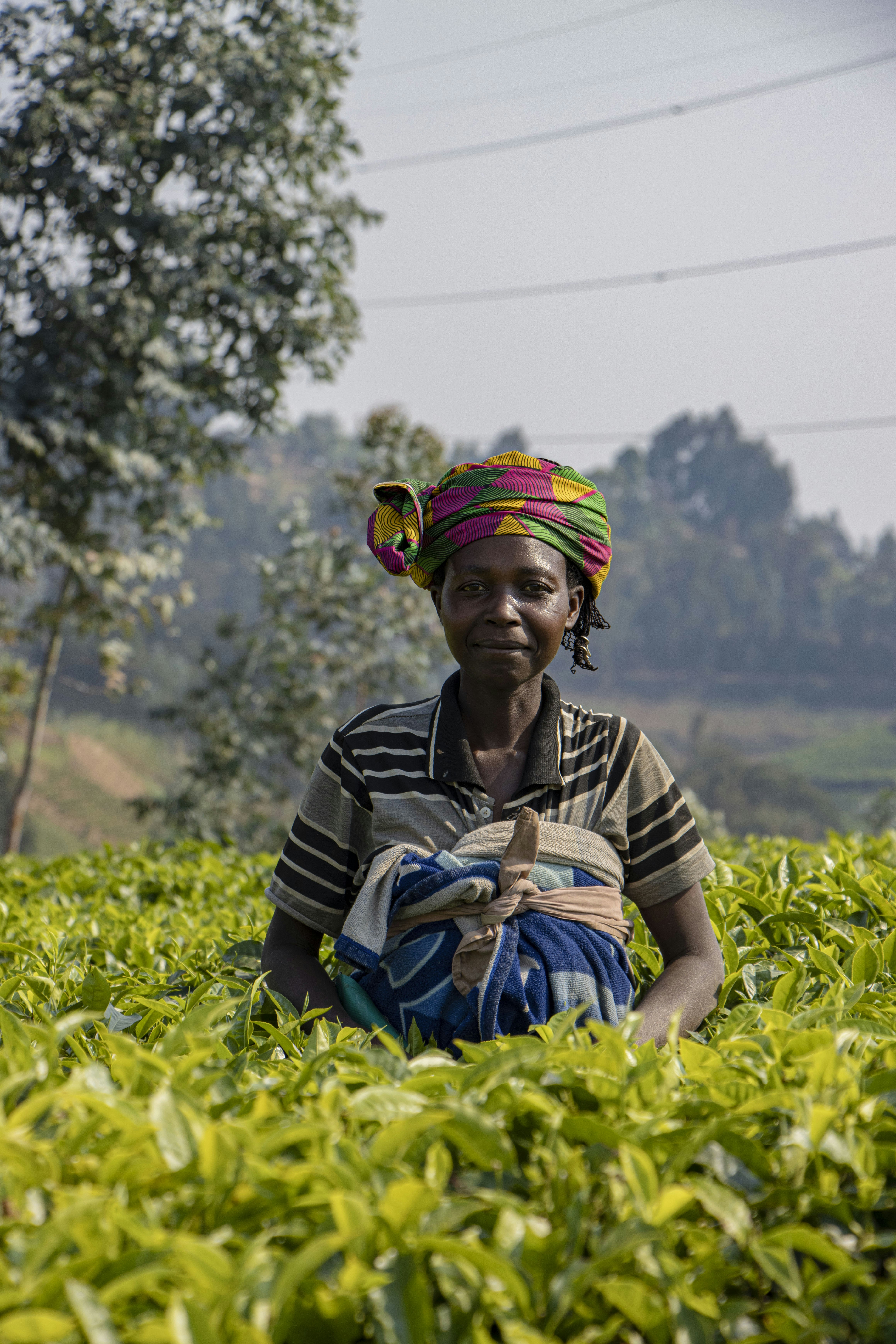 Woman wearing colorful headwrap in a tea plantation.