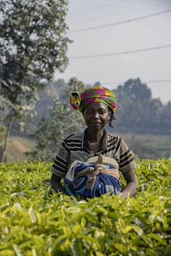 Woman wearing colorful headwrap in a tea plantation.