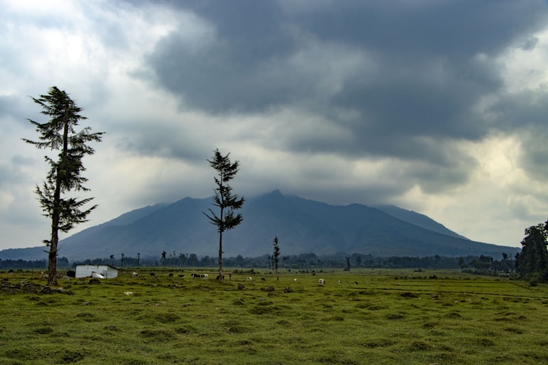 Rwanda