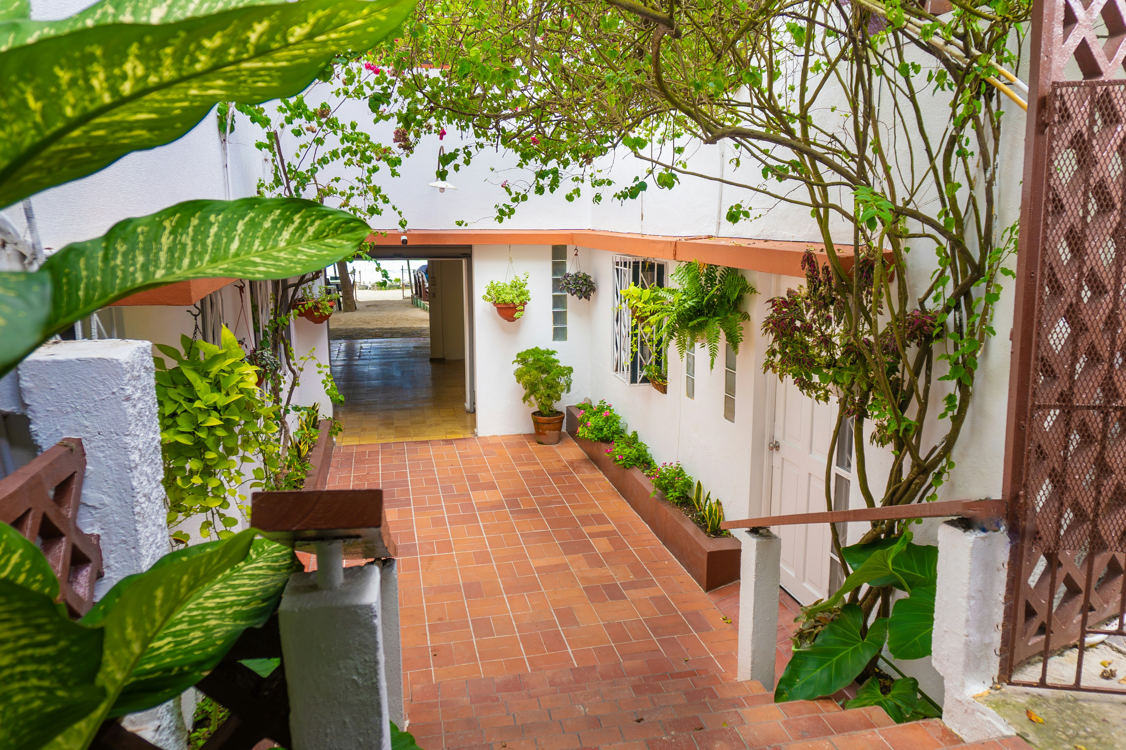 Photo by miguelphoto