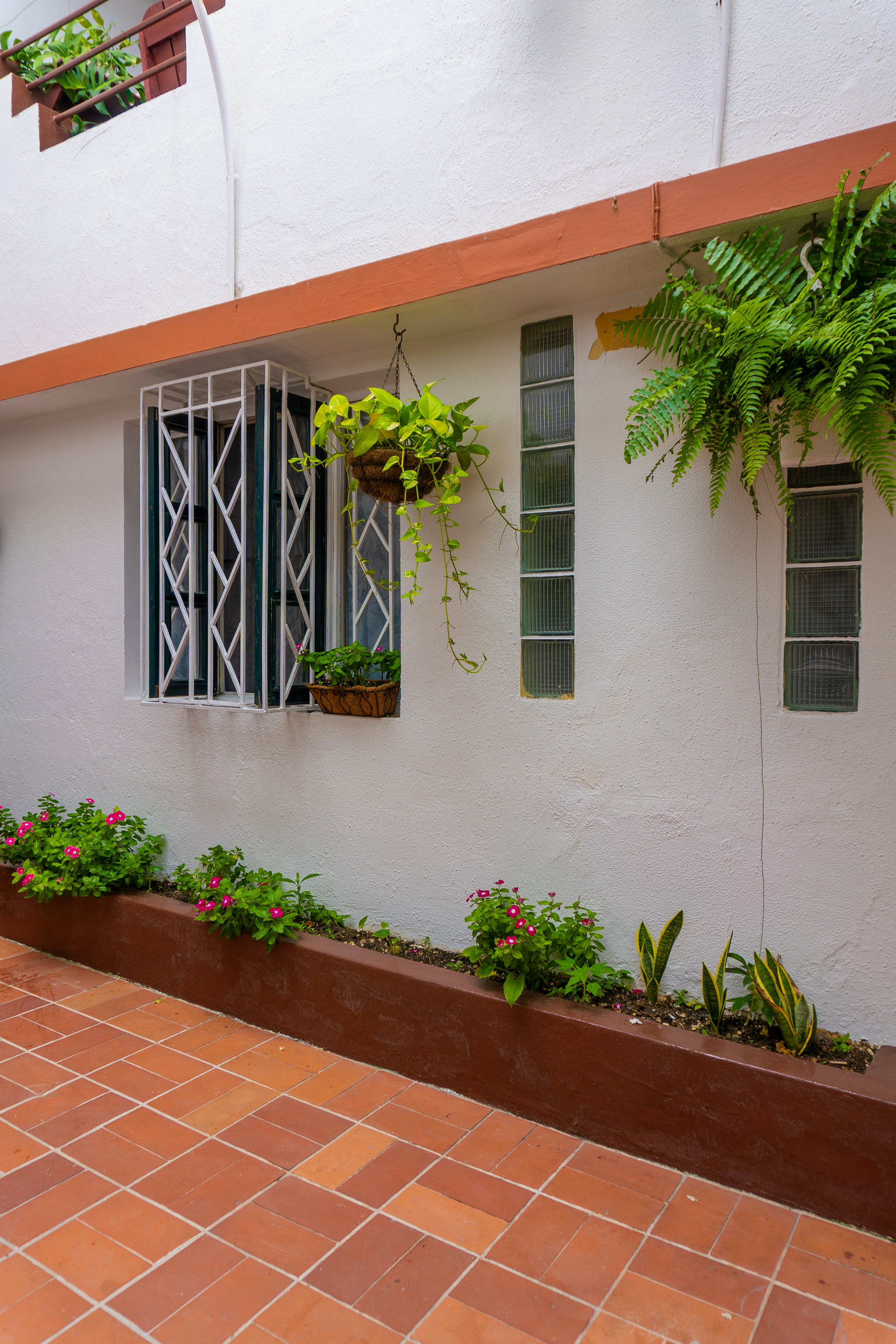 Photo by miguelphoto