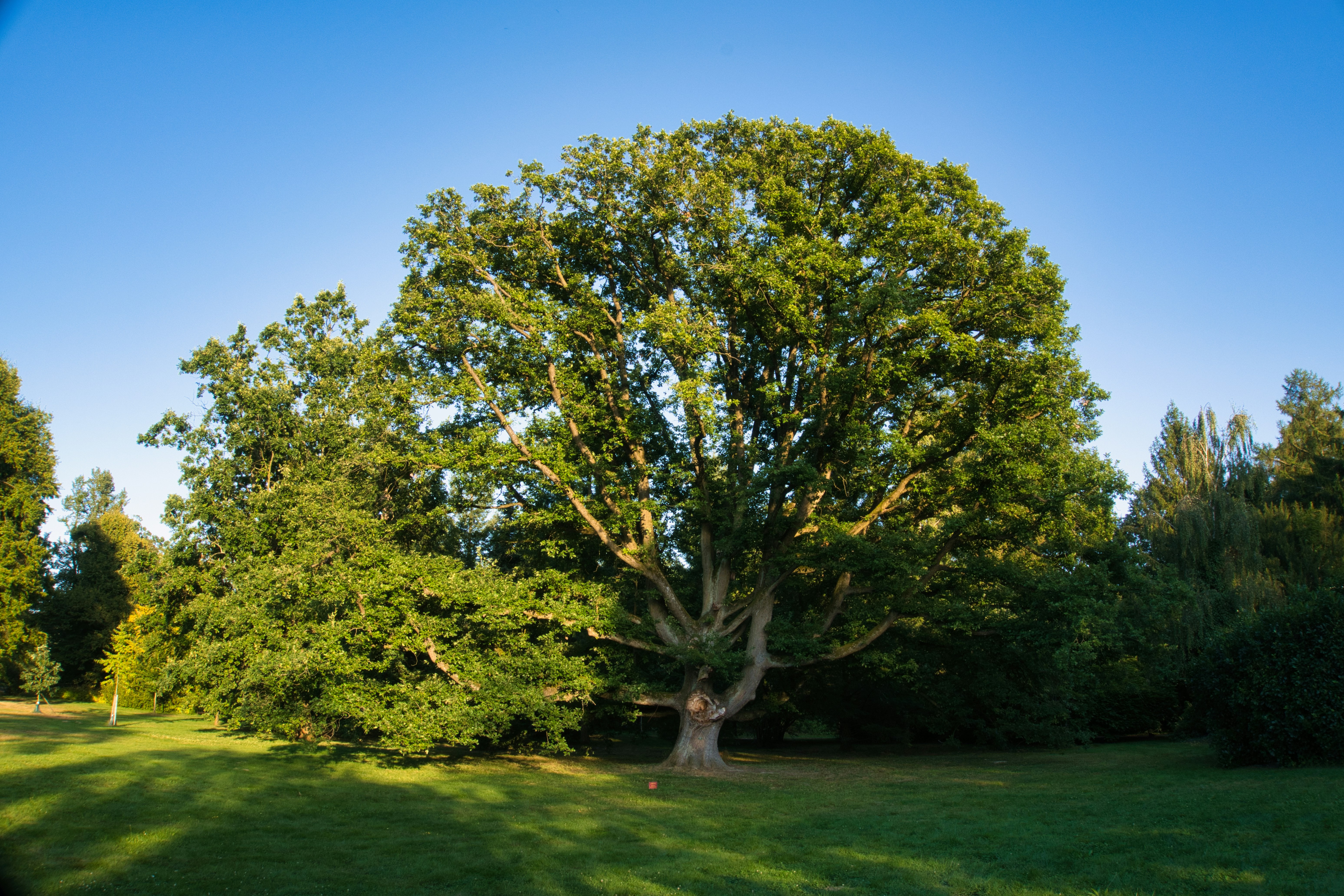 Photo by themrbranoo