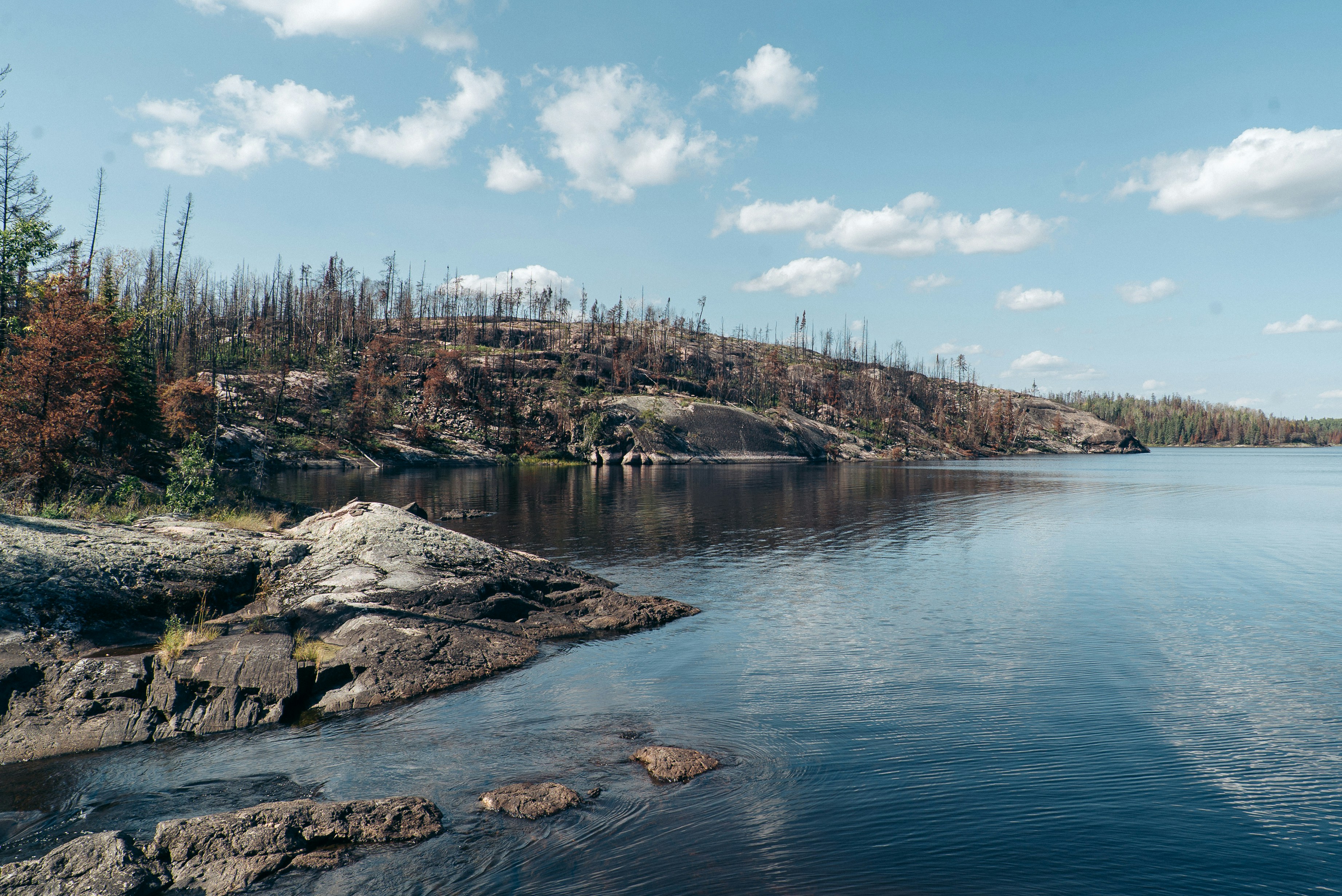 Ruhiges Seewasser reflektiert eine felsige, bewaldete Küste unter Wolken.