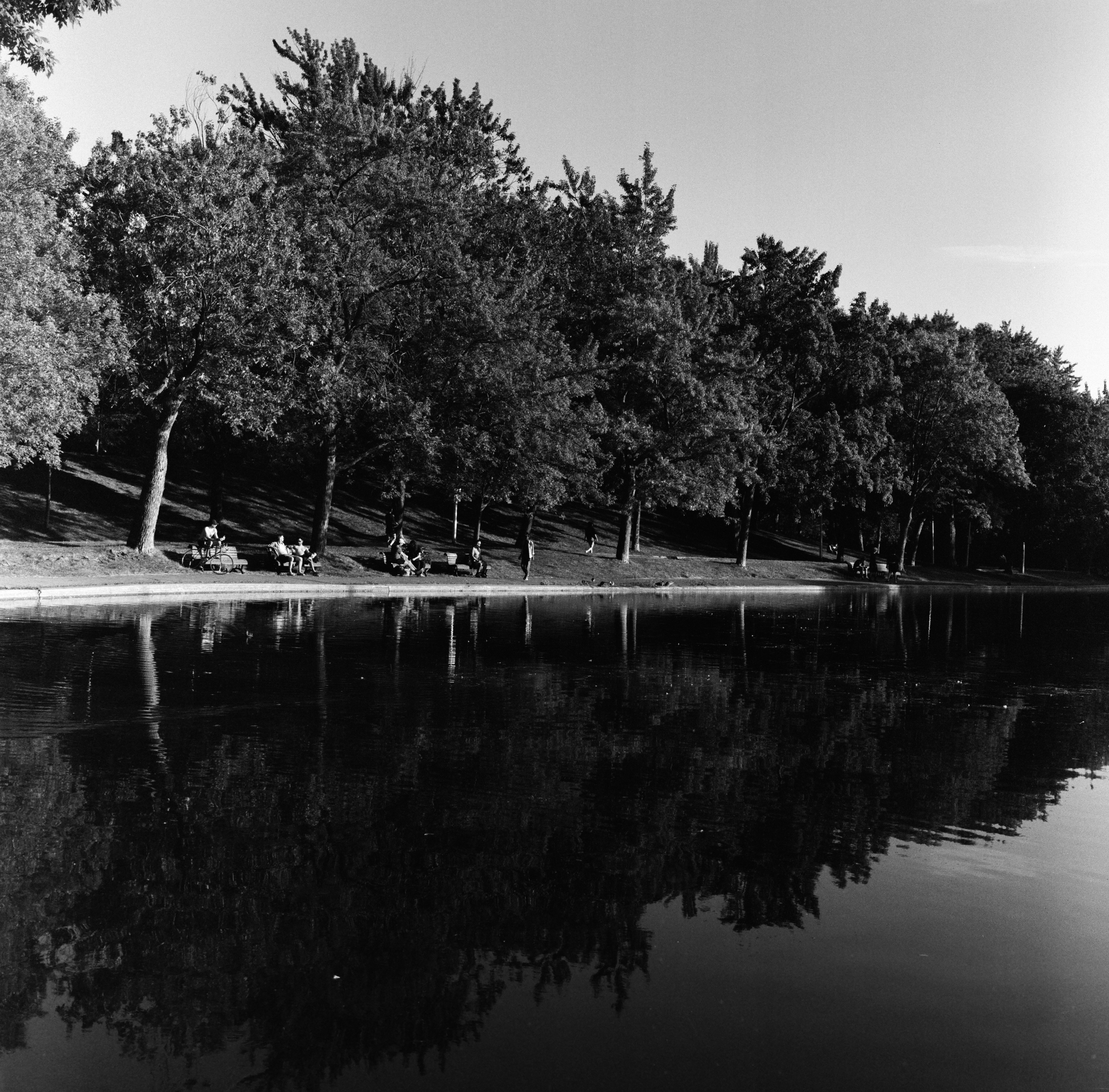 Photo by omidshokoohi